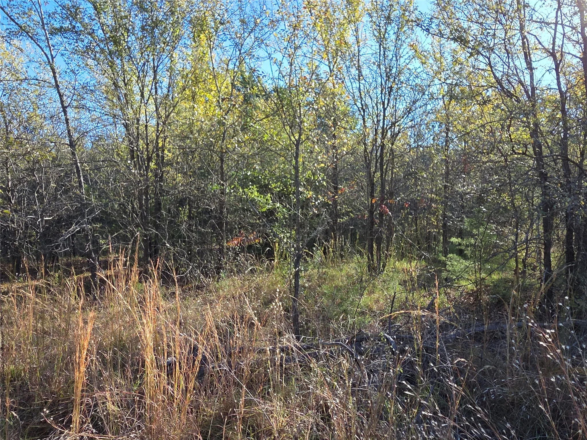 Unimproved Land For Sale in Navarro County , Lot 20 Sunrise W, Corsicana, Texas 75109, 0, 0, Garage spaces, 0 Sqft, built in 0, mls#21073798, Real Estate Agent in Corsicana, Homes For Sale in Navarro county, Homes For Sale in Corsicana, Realtor in Corsicana Texas, Real Estate Brokerage Independent Realty Texas, Luminita Cordes Realtor