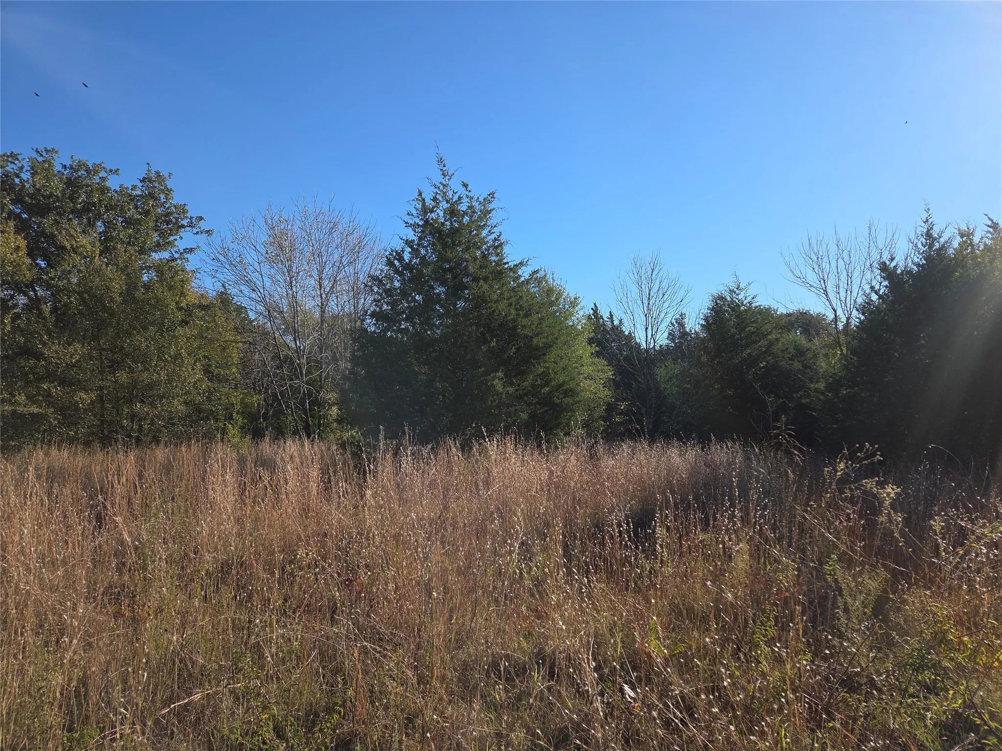 Unimproved Land For Sale in Navarro County , Lot 20 Sunrise W, Corsicana, Texas 75109, 0, 0, Garage spaces, 0 Sqft, built in 0, mls#21073798, Real Estate Agent in Corsicana, Homes For Sale in Navarro county, Homes For Sale in Corsicana, Realtor in Corsicana Texas, Real Estate Brokerage Independent Realty Texas, Luminita Cordes Realtor