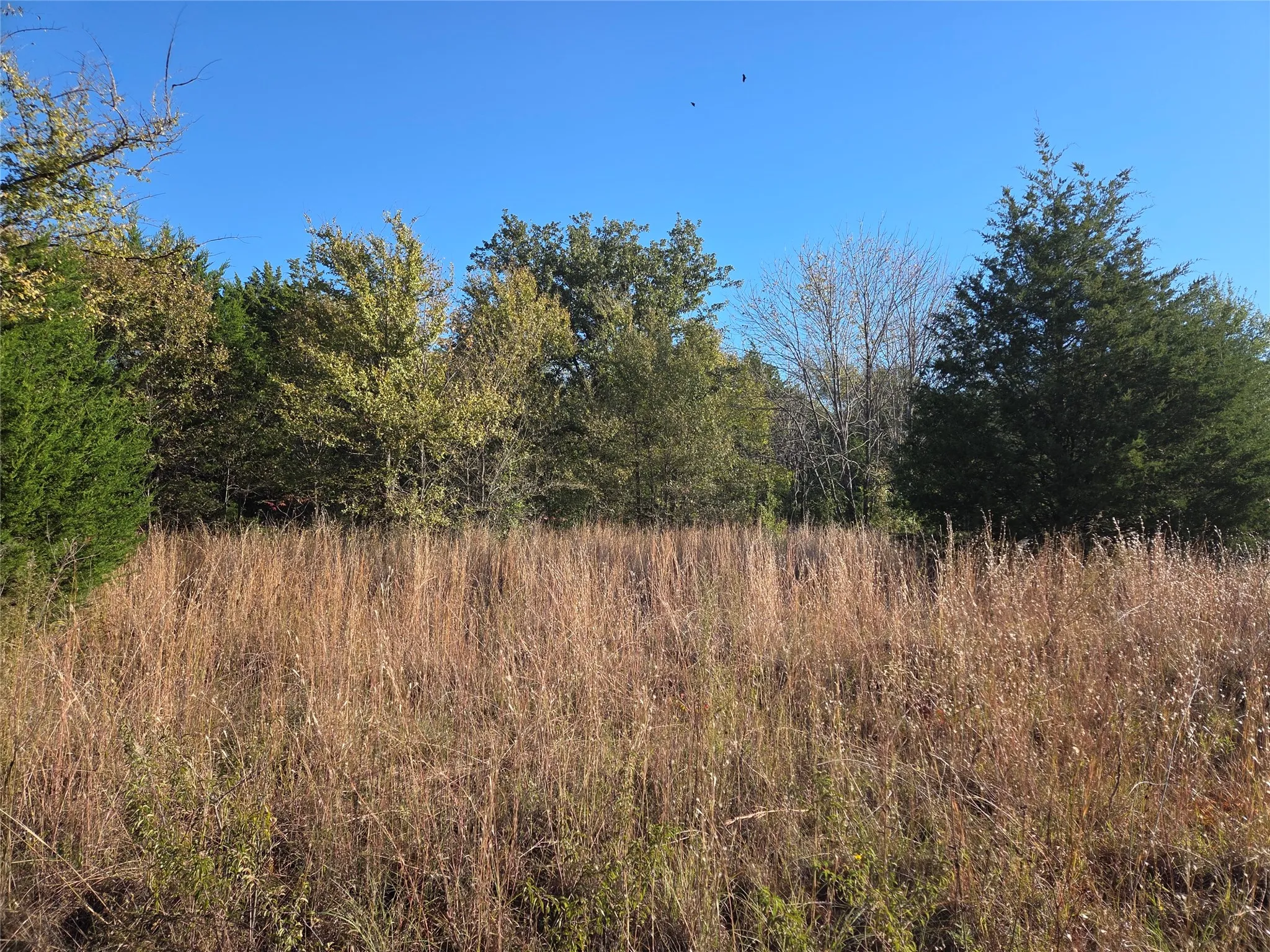 Unimproved Land For Sale in Navarro County , Lot 20 Sunrise W, Corsicana, Texas 75109, 0, 0, Garage spaces, 0 Sqft, built in 0, mls#21073798, Real Estate Agent in Corsicana, Homes For Sale in Navarro county, Homes For Sale in Corsicana, Realtor in Corsicana Texas, Real Estate Brokerage Independent Realty Texas, Luminita Cordes Realtor