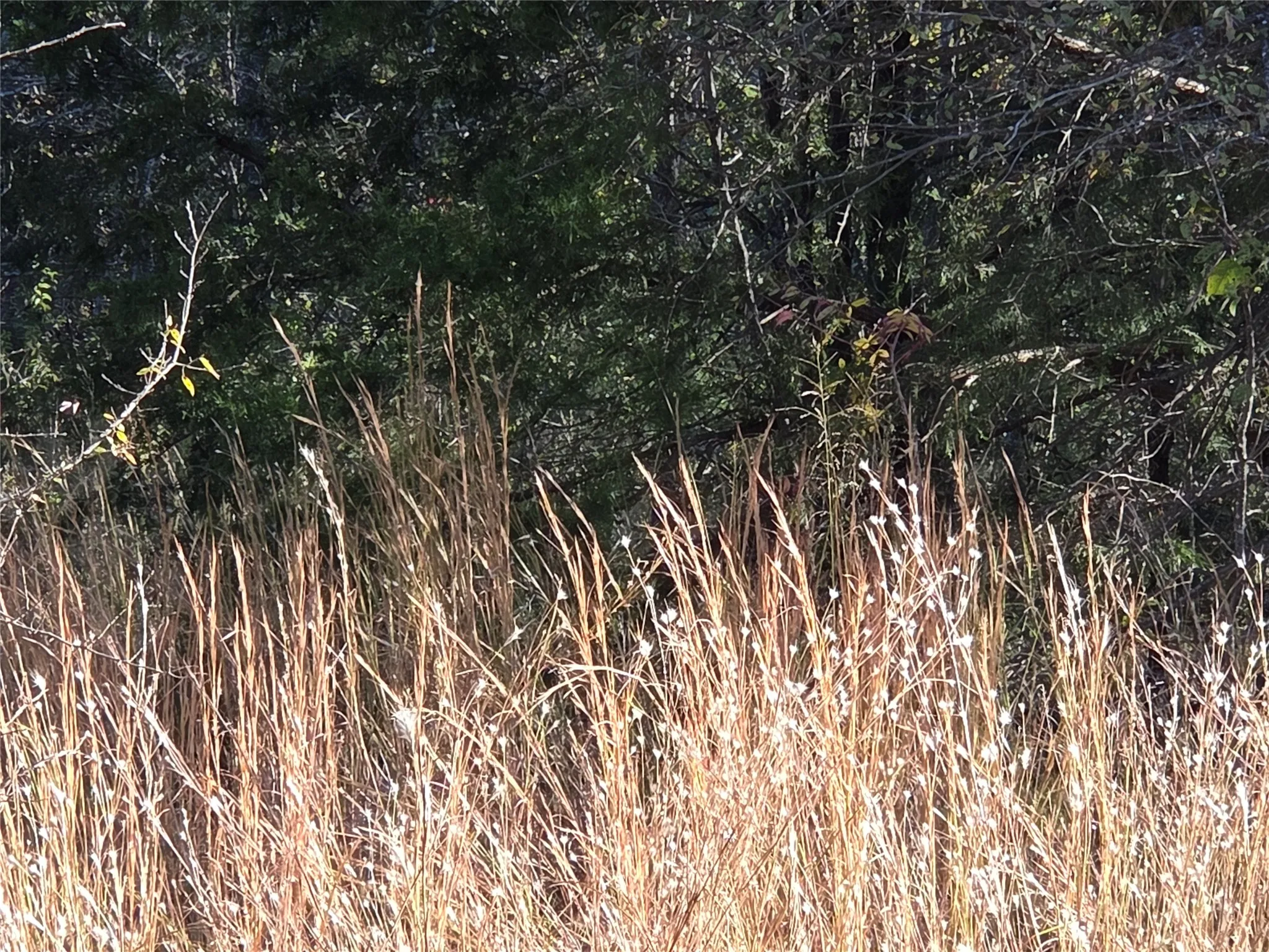 Unimproved Land For Sale in Navarro County , Lot 20 Sunrise W, Corsicana, Texas 75109, 0, 0, Garage spaces, 0 Sqft, built in 0, mls#21073798, Real Estate Agent in Corsicana, Homes For Sale in Navarro county, Homes For Sale in Corsicana, Realtor in Corsicana Texas, Real Estate Brokerage Independent Realty Texas, Luminita Cordes Realtor