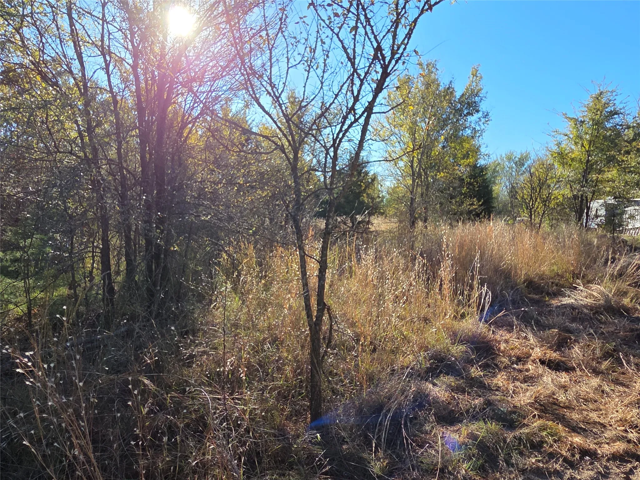 Unimproved Land For Sale in Navarro County , Lot 20 Sunrise W, Corsicana, Texas 75109, 0, 0, Garage spaces, 0 Sqft, built in 0, mls#21073798, Real Estate Agent in Corsicana, Homes For Sale in Navarro county, Homes For Sale in Corsicana, Realtor in Corsicana Texas, Real Estate Brokerage Independent Realty Texas, Luminita Cordes Realtor
