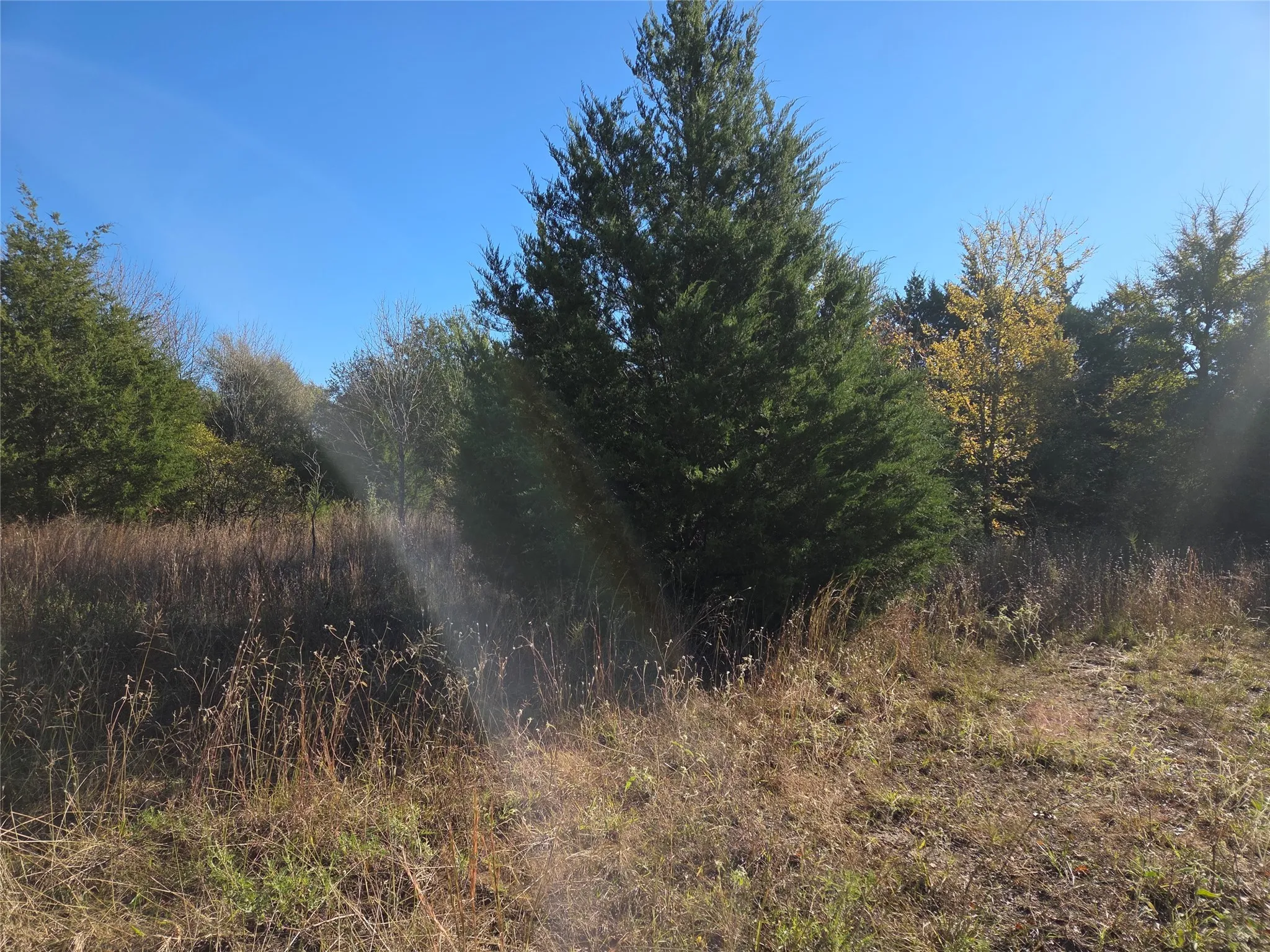 Unimproved Land For Sale in Navarro County , Lot 20 Sunrise W, Corsicana, Texas 75109, 0, 0, Garage spaces, 0 Sqft, built in 0, mls#21073798, Real Estate Agent in Corsicana, Homes For Sale in Navarro county, Homes For Sale in Corsicana, Realtor in Corsicana Texas, Real Estate Brokerage Independent Realty Texas, Luminita Cordes Realtor