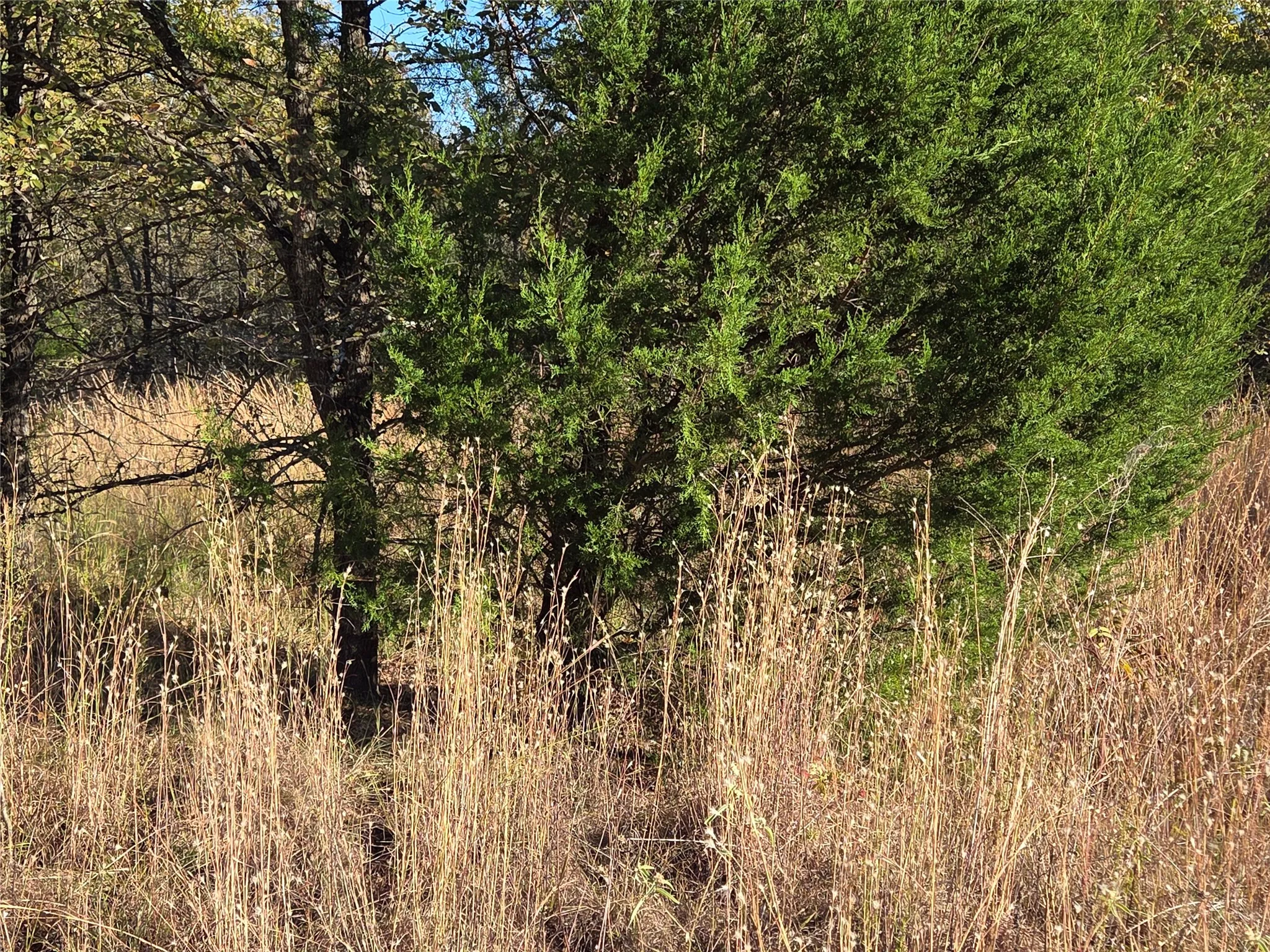 Unimproved Land For Sale in Navarro County , Lot 20 Sunrise W, Corsicana, Texas 75109, 0, 0, Garage spaces, 0 Sqft, built in 0, mls#21073798, Real Estate Agent in Corsicana, Homes For Sale in Navarro county, Homes For Sale in Corsicana, Realtor in Corsicana Texas, Real Estate Brokerage Independent Realty Texas, Luminita Cordes Realtor