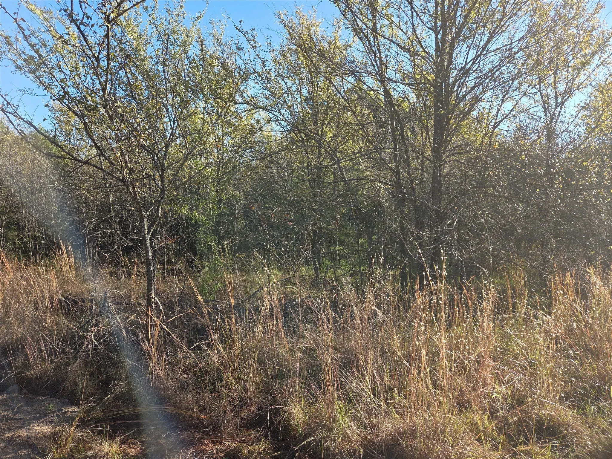 Unimproved Land For Sale in Navarro County , Lot 20 Sunrise W, Corsicana, Texas 75109, 0, 0, Garage spaces, 0 Sqft, built in 0, mls#21073798, Real Estate Agent in Corsicana, Homes For Sale in Navarro county, Homes For Sale in Corsicana, Realtor in Corsicana Texas, Real Estate Brokerage Independent Realty Texas, Luminita Cordes Realtor