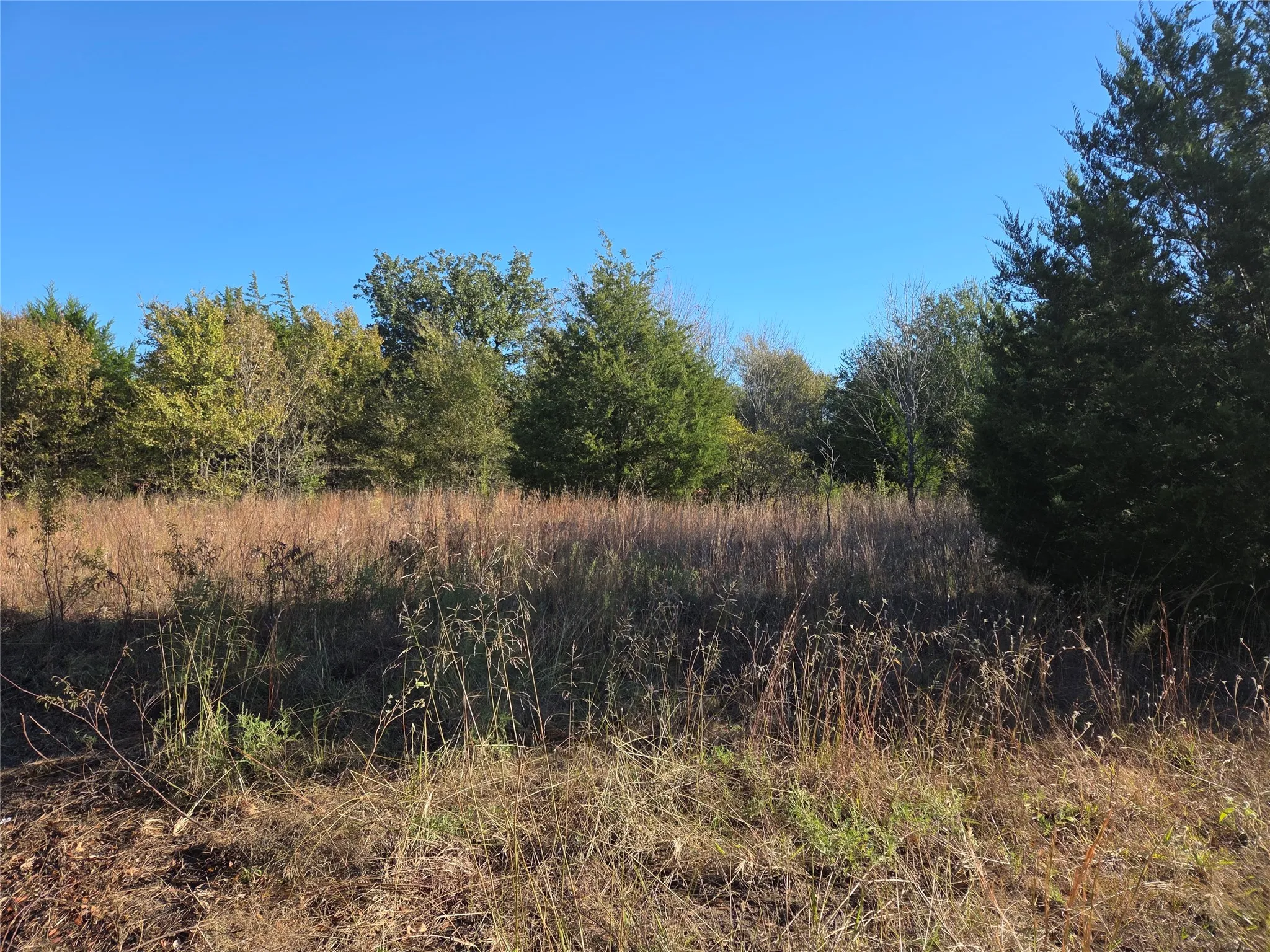 Unimproved Land For Sale in Navarro County , Lot 20 Sunrise W, Corsicana, Texas 75109, 0, 0, Garage spaces, 0 Sqft, built in 0, mls#21073798, Real Estate Agent in Corsicana, Homes For Sale in Navarro county, Homes For Sale in Corsicana, Realtor in Corsicana Texas, Real Estate Brokerage Independent Realty Texas, Luminita Cordes Realtor