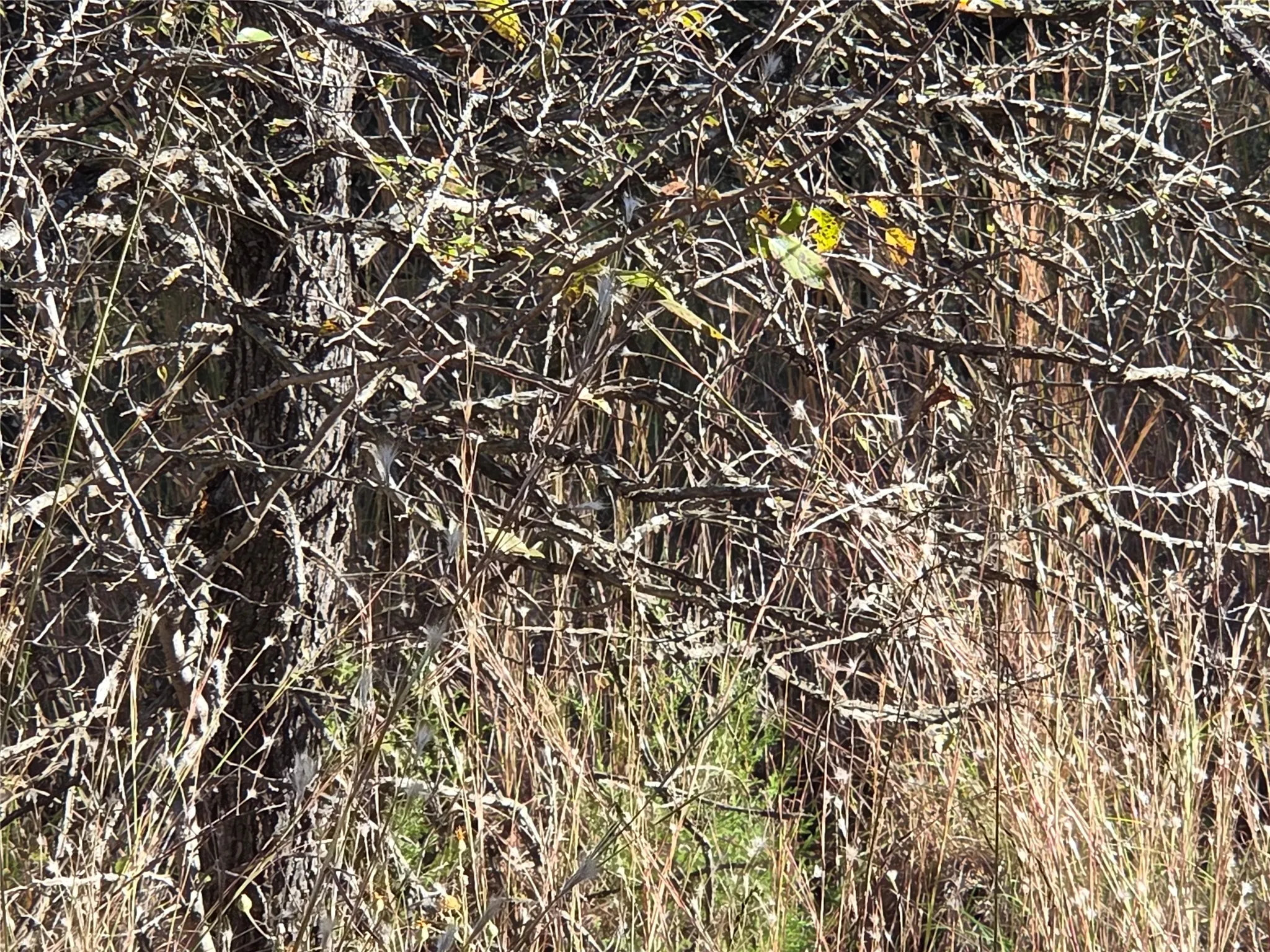 Unimproved Land For Sale in Navarro County , Lot 20 Sunrise W, Corsicana, Texas 75109, 0, 0, Garage spaces, 0 Sqft, built in 0, mls#21073798, Real Estate Agent in Corsicana, Homes For Sale in Navarro county, Homes For Sale in Corsicana, Realtor in Corsicana Texas, Real Estate Brokerage Independent Realty Texas, Luminita Cordes Realtor