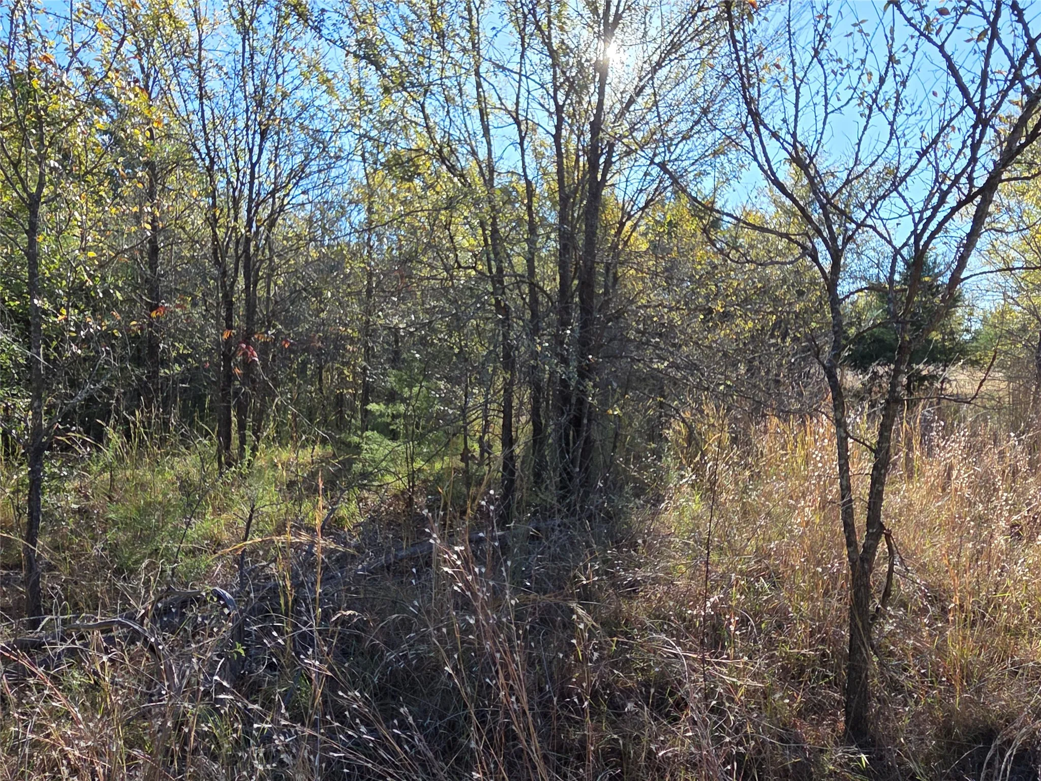 Unimproved Land For Sale in Navarro County , Lot 20 Sunrise W, Corsicana, Texas 75109, 0, 0, Garage spaces, 0 Sqft, built in 0, mls#21073798, Real Estate Agent in Corsicana, Homes For Sale in Navarro county, Homes For Sale in Corsicana, Realtor in Corsicana Texas, Real Estate Brokerage Independent Realty Texas, Luminita Cordes Realtor