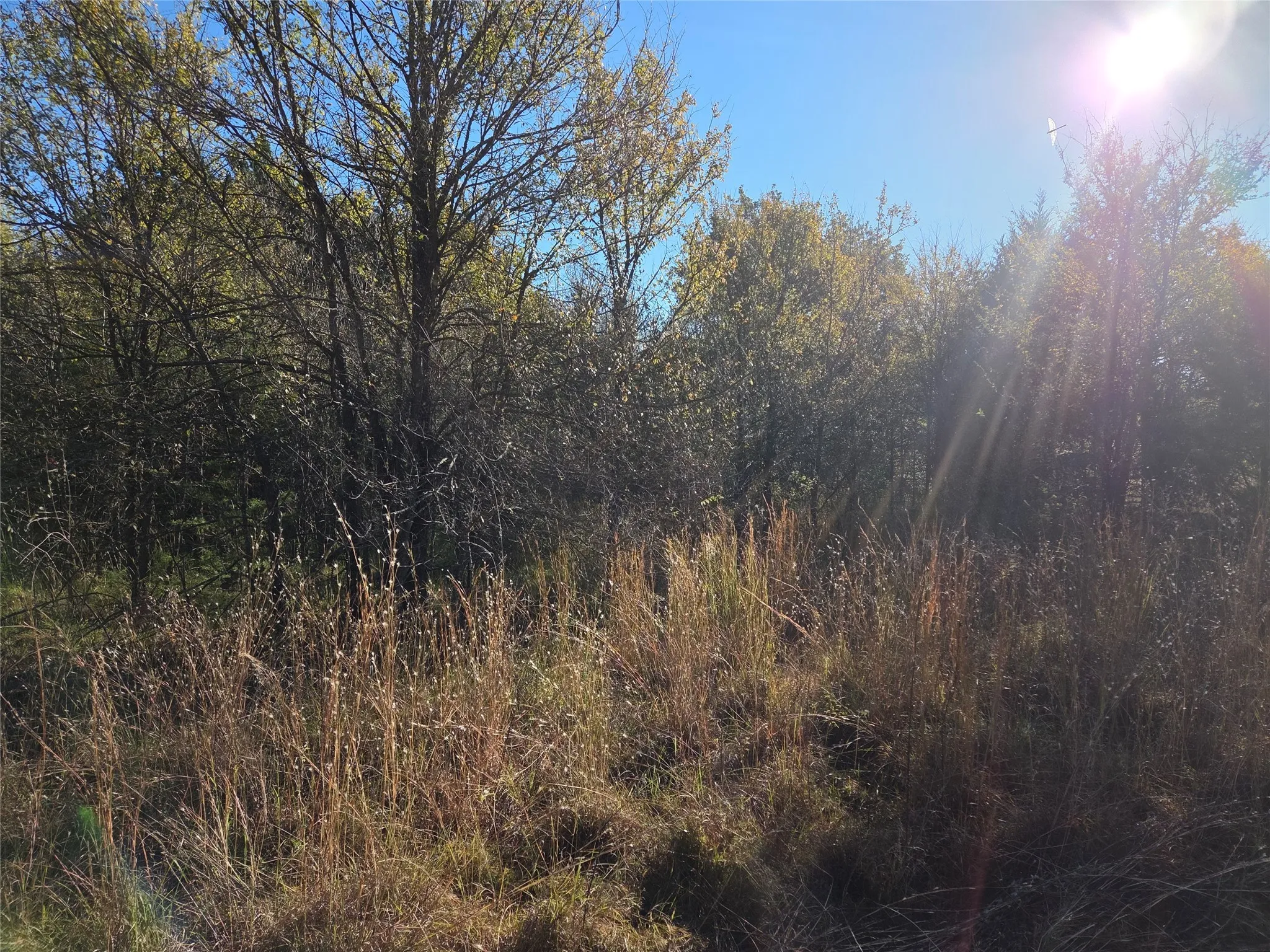 Unimproved Land For Sale in Navarro County , Lot 20 Sunrise W, Corsicana, Texas 75109, 0, 0, Garage spaces, 0 Sqft, built in 0, mls#21073798, Real Estate Agent in Corsicana, Homes For Sale in Navarro county, Homes For Sale in Corsicana, Realtor in Corsicana Texas, Real Estate Brokerage Independent Realty Texas, Luminita Cordes Realtor