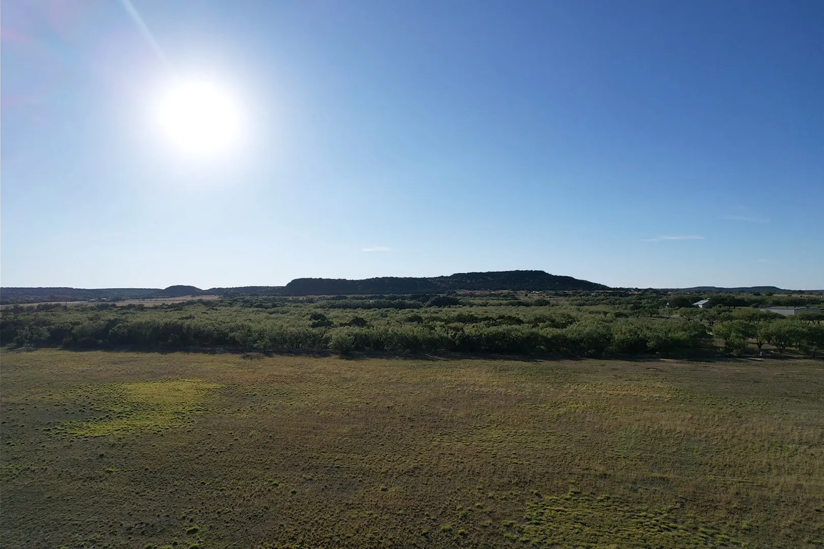 Unimproved Land For Sale in Taylor County , TBD County Road 254, Tuscola, Texas 79562, 0, 0, Garage spaces, 0 Sqft, built in 0, Price $245,000, mls#21100239, Real Estate Agent in Tuscola, Homes For Sale in Taylor county, Homes For Sale in Tuscola, Realtor in Tuscola Texas, Real Estate Brokerage Independent Realty Texas, Luminita Cordes Realtor
