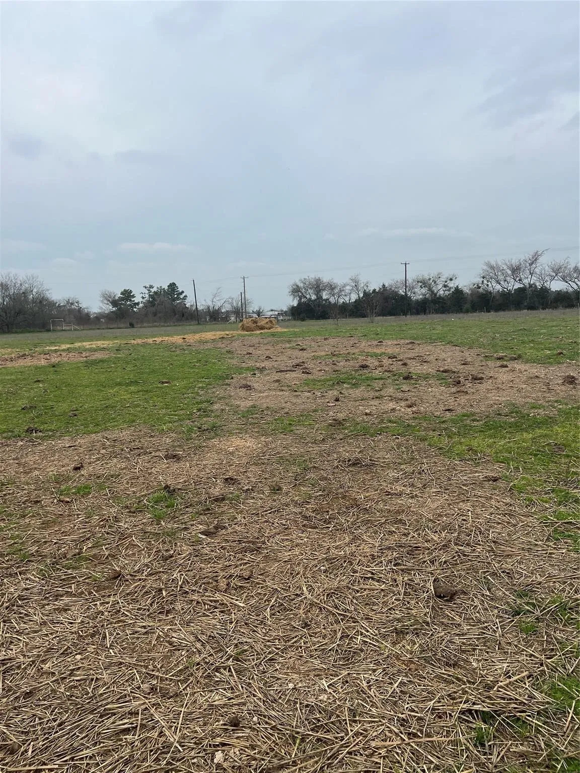Warehouse For Sale in Freestone County , 1784 W Highway 84 Highway, Mexia, Texas 76667, 0, 0, Garage spaces, 0 Sqft, built in 1997, Preowned, Price $985,000, mls#21100565, Real Estate Agent in Mexia, Homes For Sale in Freestone county, Homes For Sale in Mexia, Realtor in Mexia Texas, Real Estate Brokerage Independent Realty Texas, Luminita Cordes Realtor