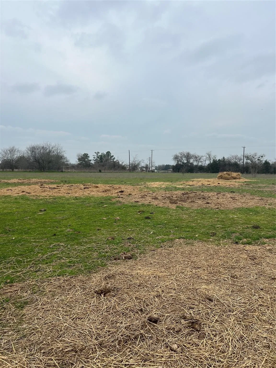 Warehouse For Sale in Freestone County , 1784 W Highway 84 Highway, Mexia, Texas 76667, 0, 0, Garage spaces, 0 Sqft, built in 1997, Preowned, Price $985,000, mls#21100565, Real Estate Agent in Mexia, Homes For Sale in Freestone county, Homes For Sale in Mexia, Realtor in Mexia Texas, Real Estate Brokerage Independent Realty Texas, Luminita Cordes Realtor