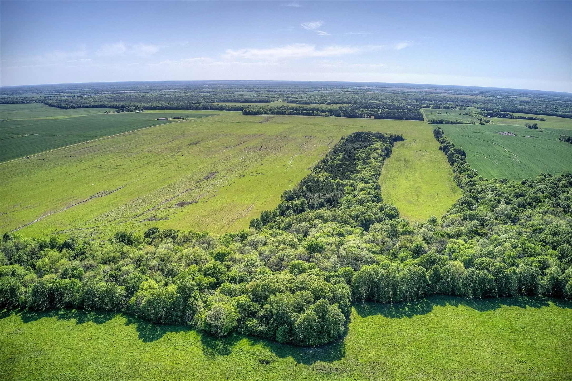 Unimproved Land For Sale in Red River (TX) County , 001 FM 412, Clarksville, Texas 75426, 0, 0, Garage spaces, 0 Sqft, built in 0, mls#21101452, Real Estate Agent in Clarksville, Homes For Sale in Red River (TX) county, Homes For Sale in Clarksville, Realtor in Clarksville Texas, Real Estate Brokerage Independent Realty Texas, Luminita Cordes Realtor