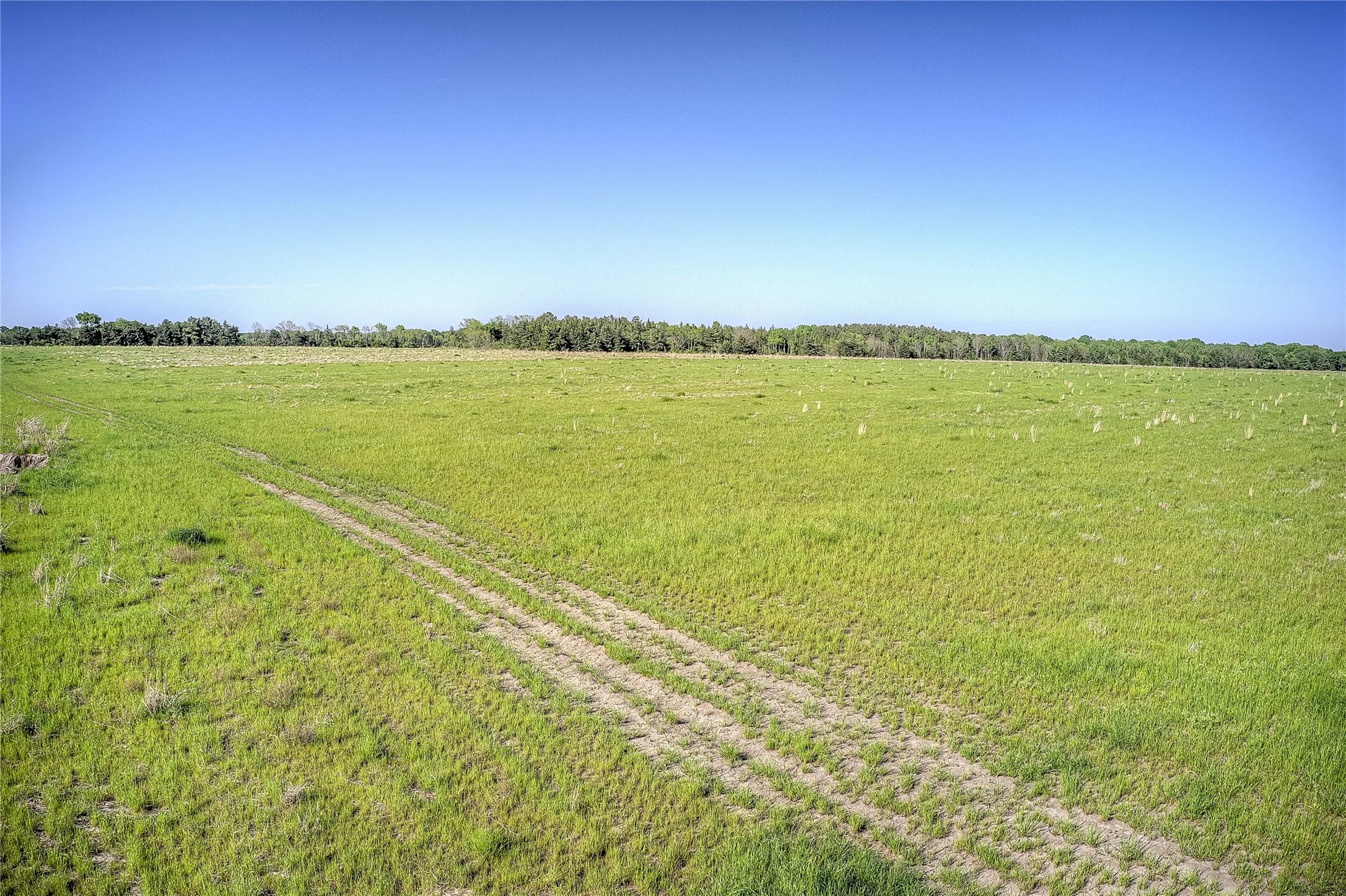 Unimproved Land For Sale in Red River (TX) County , 001 FM 412, Clarksville, Texas 75426, 0, 0, Garage spaces, 0 Sqft, built in 0, mls#21101452, Real Estate Agent in Clarksville, Homes For Sale in Red River (TX) county, Homes For Sale in Clarksville, Realtor in Clarksville Texas, Real Estate Brokerage Independent Realty Texas, Luminita Cordes Realtor