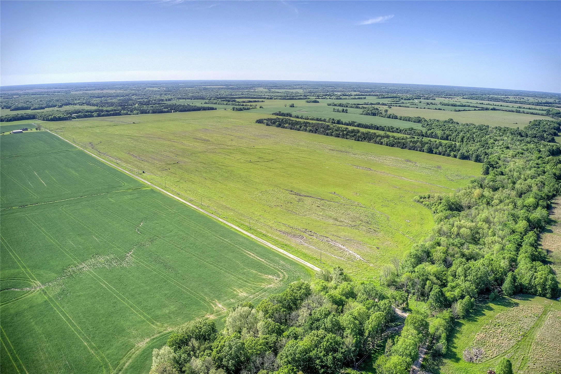 Unimproved Land For Sale in Red River (TX) County , 001 FM 412, Clarksville, Texas 75426, 0, 0, Garage spaces, 0 Sqft, built in 0, mls#21101452, Real Estate Agent in Clarksville, Homes For Sale in Red River (TX) county, Homes For Sale in Clarksville, Realtor in Clarksville Texas, Real Estate Brokerage Independent Realty Texas, Luminita Cordes Realtor