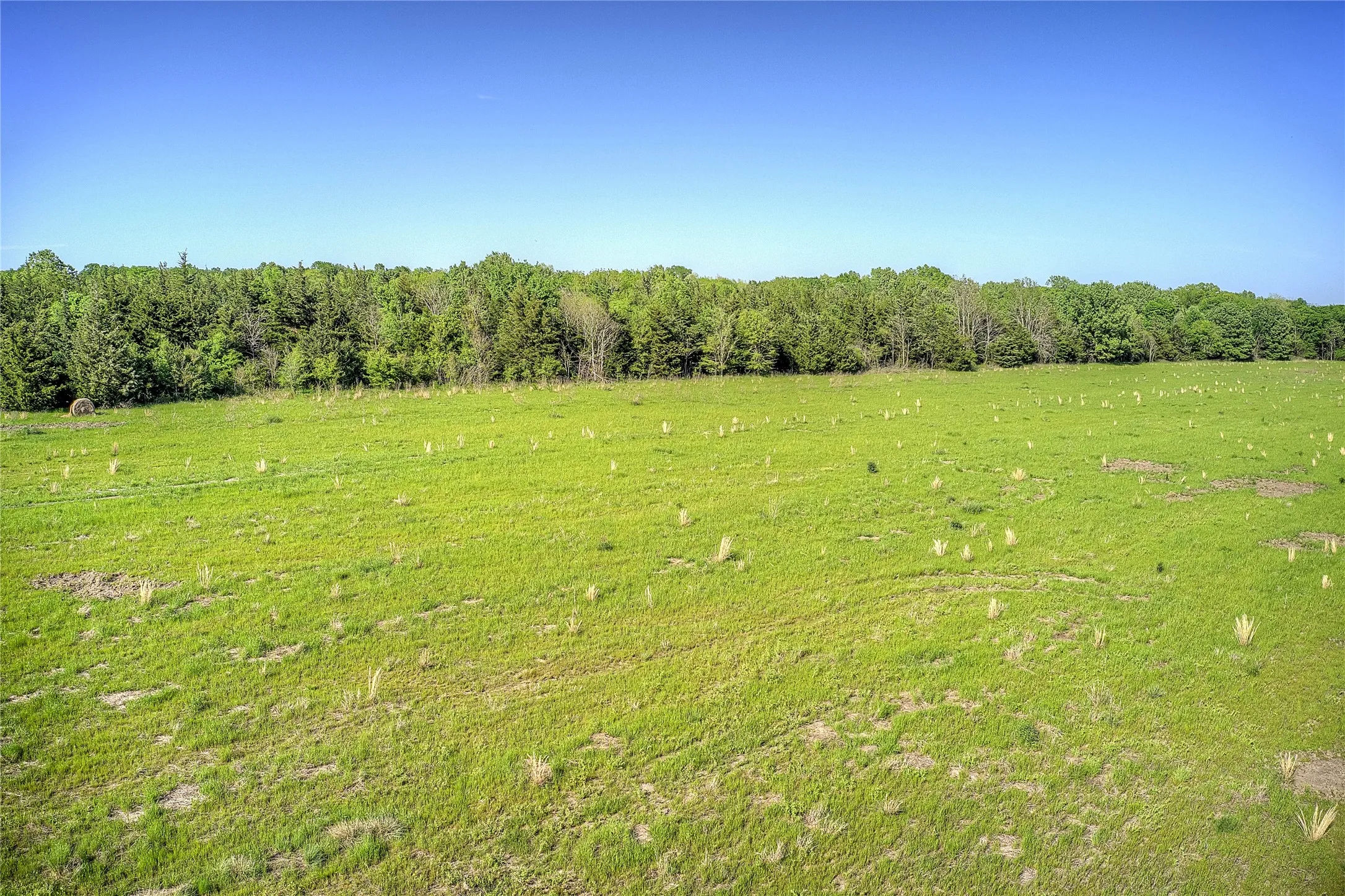 Unimproved Land For Sale in Red River (TX) County , 001 FM 412, Clarksville, Texas 75426, 0, 0, Garage spaces, 0 Sqft, built in 0, mls#21101452, Real Estate Agent in Clarksville, Homes For Sale in Red River (TX) county, Homes For Sale in Clarksville, Realtor in Clarksville Texas, Real Estate Brokerage Independent Realty Texas, Luminita Cordes Realtor