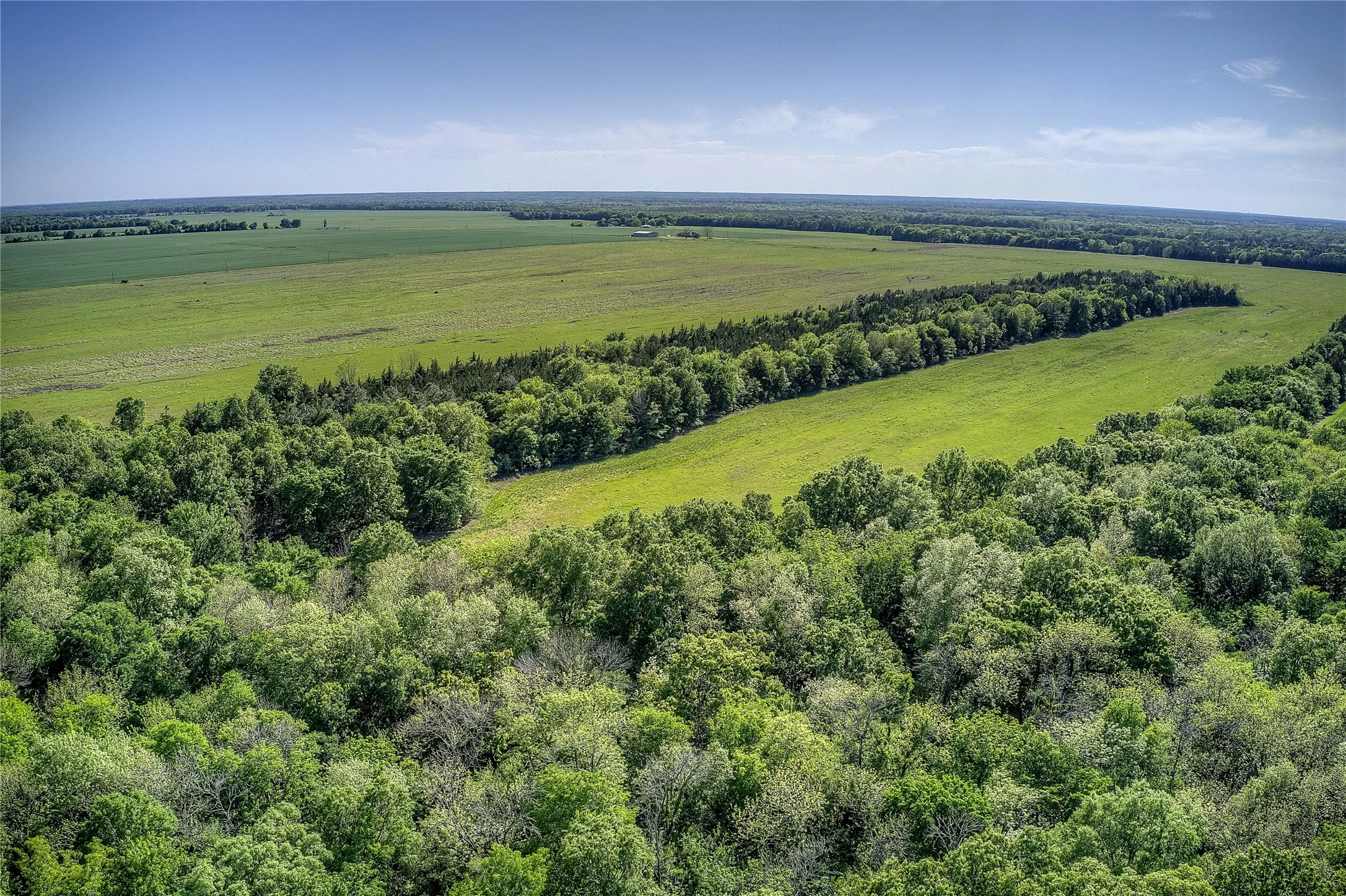 Unimproved Land For Sale in Red River (TX) County , 001 FM 412, Clarksville, Texas 75426, 0, 0, Garage spaces, 0 Sqft, built in 0, mls#21101452, Real Estate Agent in Clarksville, Homes For Sale in Red River (TX) county, Homes For Sale in Clarksville, Realtor in Clarksville Texas, Real Estate Brokerage Independent Realty Texas, Luminita Cordes Realtor