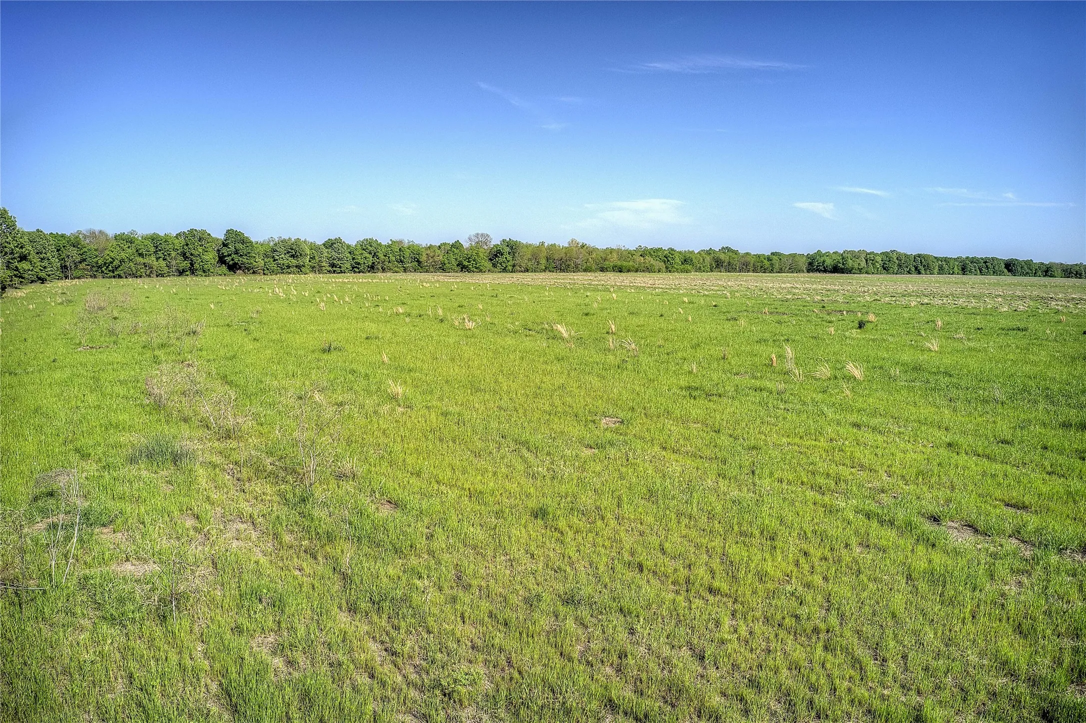Unimproved Land For Sale in Red River (TX) County , 001 FM 412, Clarksville, Texas 75426, 0, 0, Garage spaces, 0 Sqft, built in 0, mls#21101452, Real Estate Agent in Clarksville, Homes For Sale in Red River (TX) county, Homes For Sale in Clarksville, Realtor in Clarksville Texas, Real Estate Brokerage Independent Realty Texas, Luminita Cordes Realtor