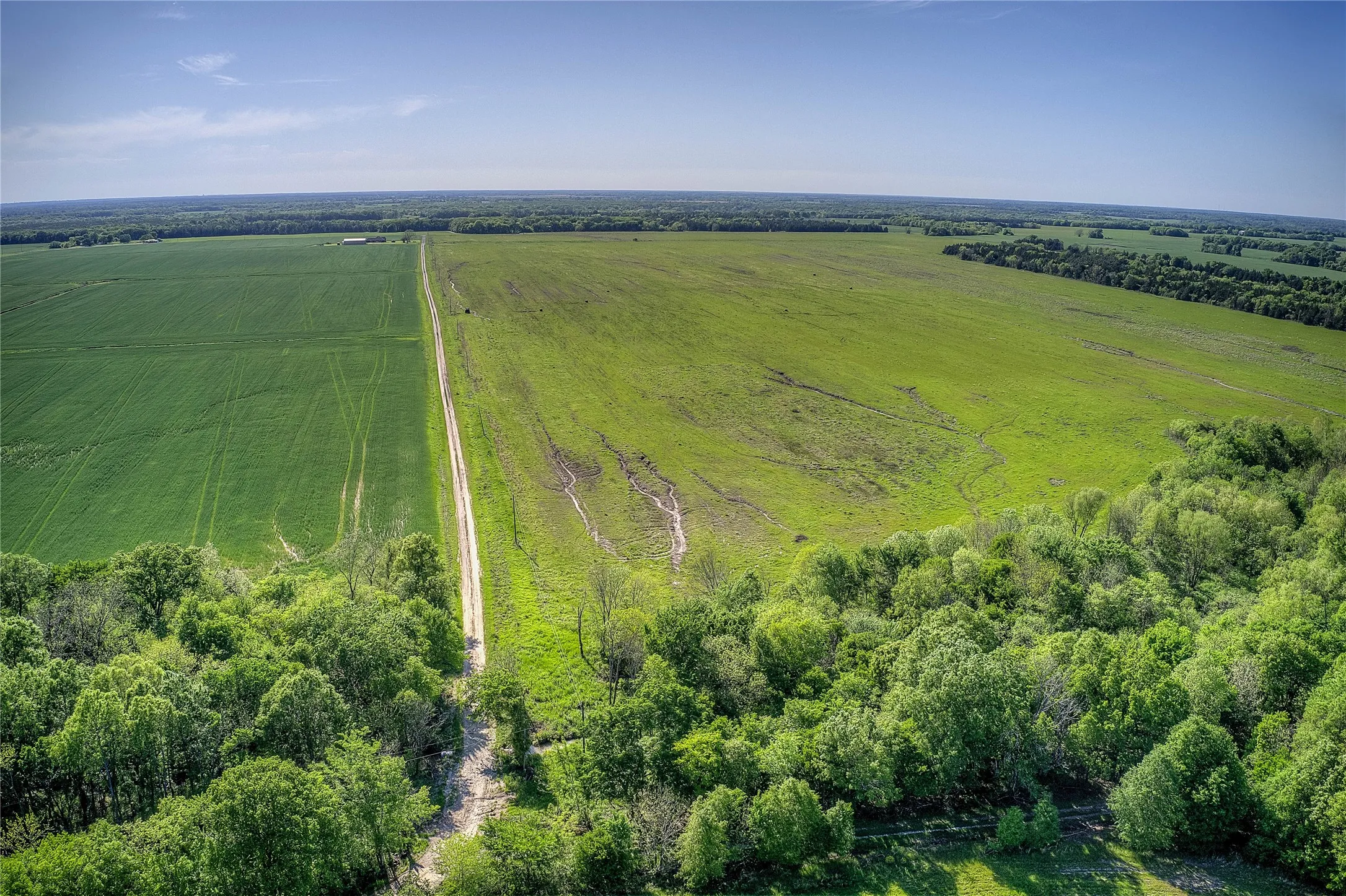 Unimproved Land For Sale in Red River (TX) County , 001 FM 412, Clarksville, Texas 75426, 0, 0, Garage spaces, 0 Sqft, built in 0, mls#21101452, Real Estate Agent in Clarksville, Homes For Sale in Red River (TX) county, Homes For Sale in Clarksville, Realtor in Clarksville Texas, Real Estate Brokerage Independent Realty Texas, Luminita Cordes Realtor