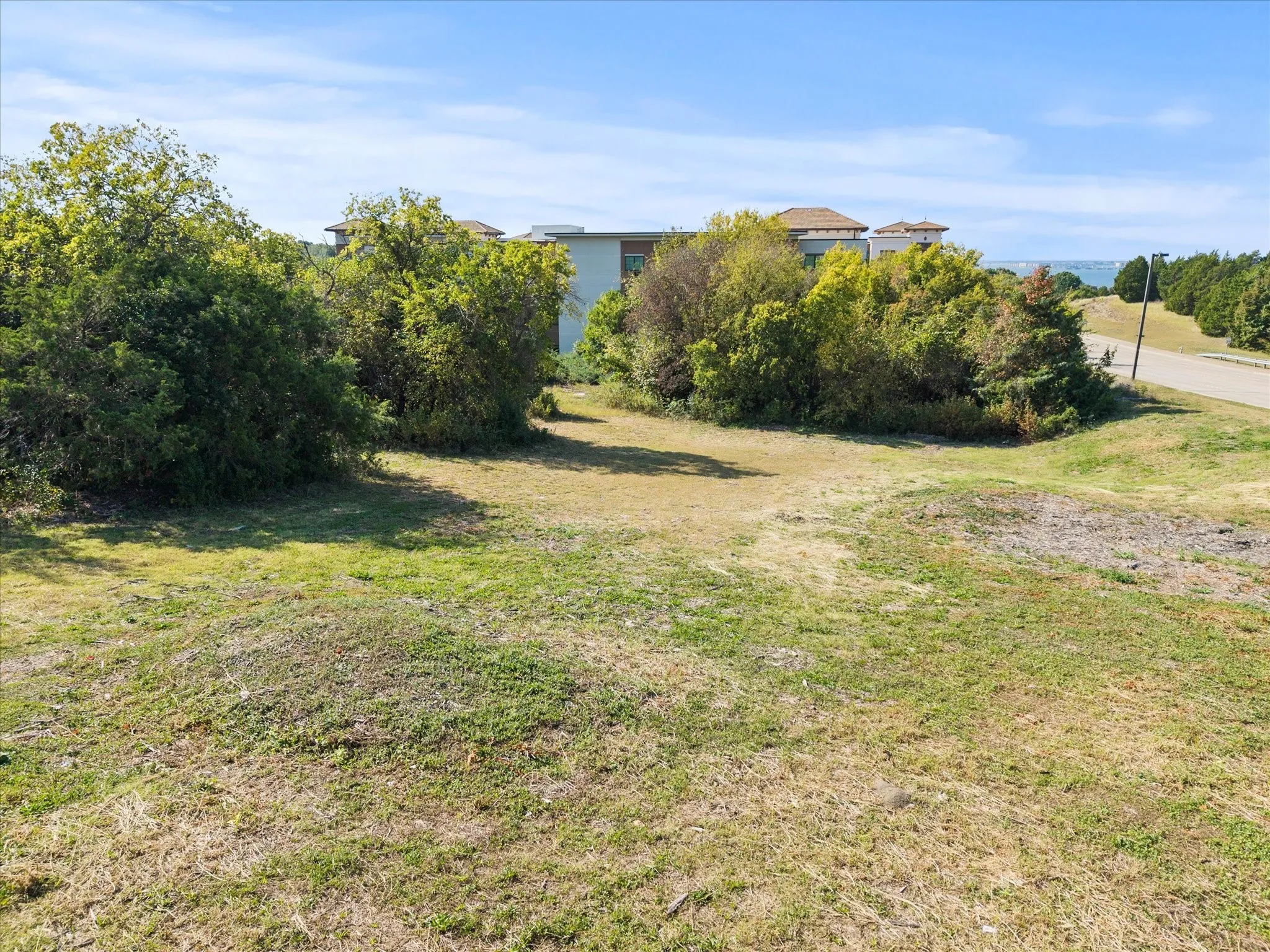View of grassy yard