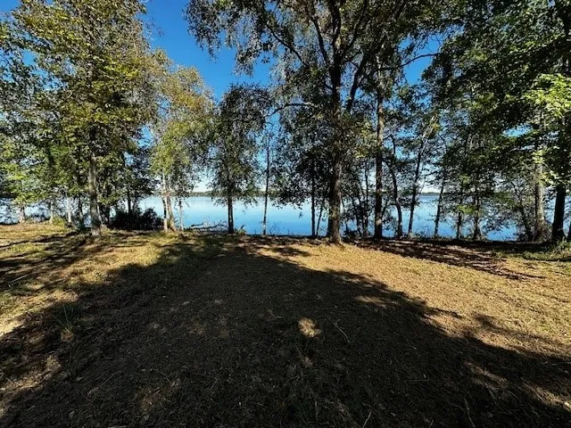 Unimproved Land For Sale in Henderson County , 3142 Shadow Pine Drive, Larue, Texas 75770, 0, 0, Garage spaces, 0 Sqft, built in 0, Price $274,999, mls#21101544, Real Estate Agent in Larue, Homes For Sale in Henderson county, Homes For Sale in Larue, Realtor in Larue Texas, Real Estate Brokerage Independent Realty Texas, Luminita Cordes Realtor