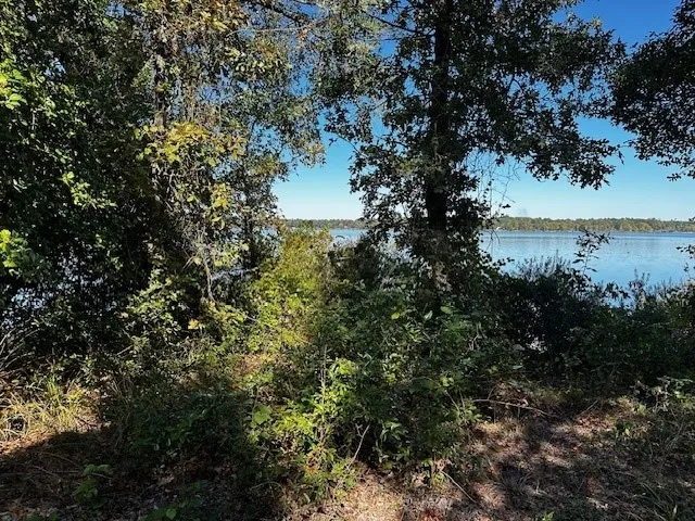 Unimproved Land For Sale in Henderson County , 3142 Shadow Pine Drive, Larue, Texas 75770, 0, 0, Garage spaces, 0 Sqft, built in 0, Price $274,999, mls#21101544, Real Estate Agent in Larue, Homes For Sale in Henderson county, Homes For Sale in Larue, Realtor in Larue Texas, Real Estate Brokerage Independent Realty Texas, Luminita Cordes Realtor