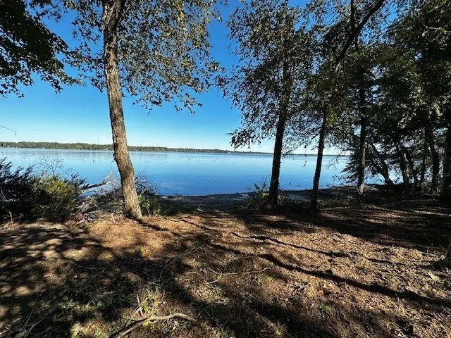 Unimproved Land For Sale in Henderson County , 3142 Shadow Pine Drive, Larue, Texas 75770, 0, 0, Garage spaces, 0 Sqft, built in 0, Price $274,999, mls#21101544, Real Estate Agent in Larue, Homes For Sale in Henderson county, Homes For Sale in Larue, Realtor in Larue Texas, Real Estate Brokerage Independent Realty Texas, Luminita Cordes Realtor