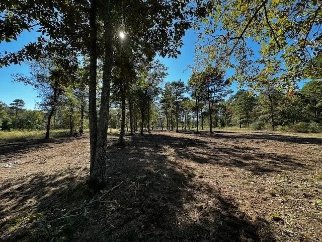 Unimproved Land For Sale in Henderson County , 3142 Shadow Pine Drive, Larue, Texas 75770, 0, 0, Garage spaces, 0 Sqft, built in 0, Price $274,999, mls#21101544, Real Estate Agent in Larue, Homes For Sale in Henderson county, Homes For Sale in Larue, Realtor in Larue Texas, Real Estate Brokerage Independent Realty Texas, Luminita Cordes Realtor