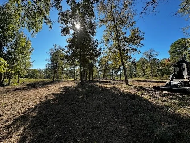 Unimproved Land For Sale in Henderson County , 3142 Shadow Pine Drive, Larue, Texas 75770, 0, 0, Garage spaces, 0 Sqft, built in 0, Price $274,999, mls#21101544, Real Estate Agent in Larue, Homes For Sale in Henderson county, Homes For Sale in Larue, Realtor in Larue Texas, Real Estate Brokerage Independent Realty Texas, Luminita Cordes Realtor