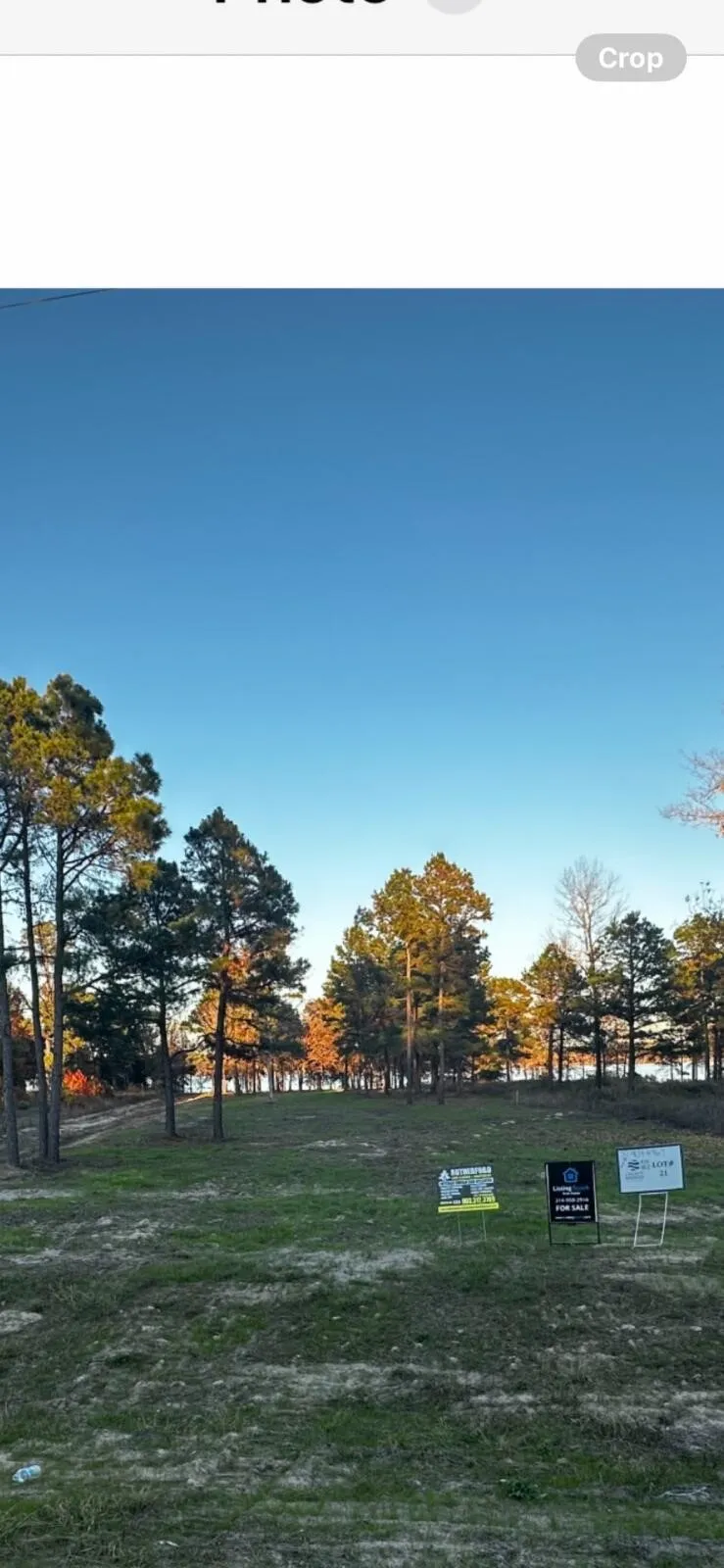 Unimproved Land For Sale in Henderson County , 3142 Shadow Pine Drive, Larue, Texas 75770, 0, 0, Garage spaces, 0 Sqft, built in 0, Price $274,999, mls#21101544, Real Estate Agent in Larue, Homes For Sale in Henderson county, Homes For Sale in Larue, Realtor in Larue Texas, Real Estate Brokerage Independent Realty Texas, Luminita Cordes Realtor