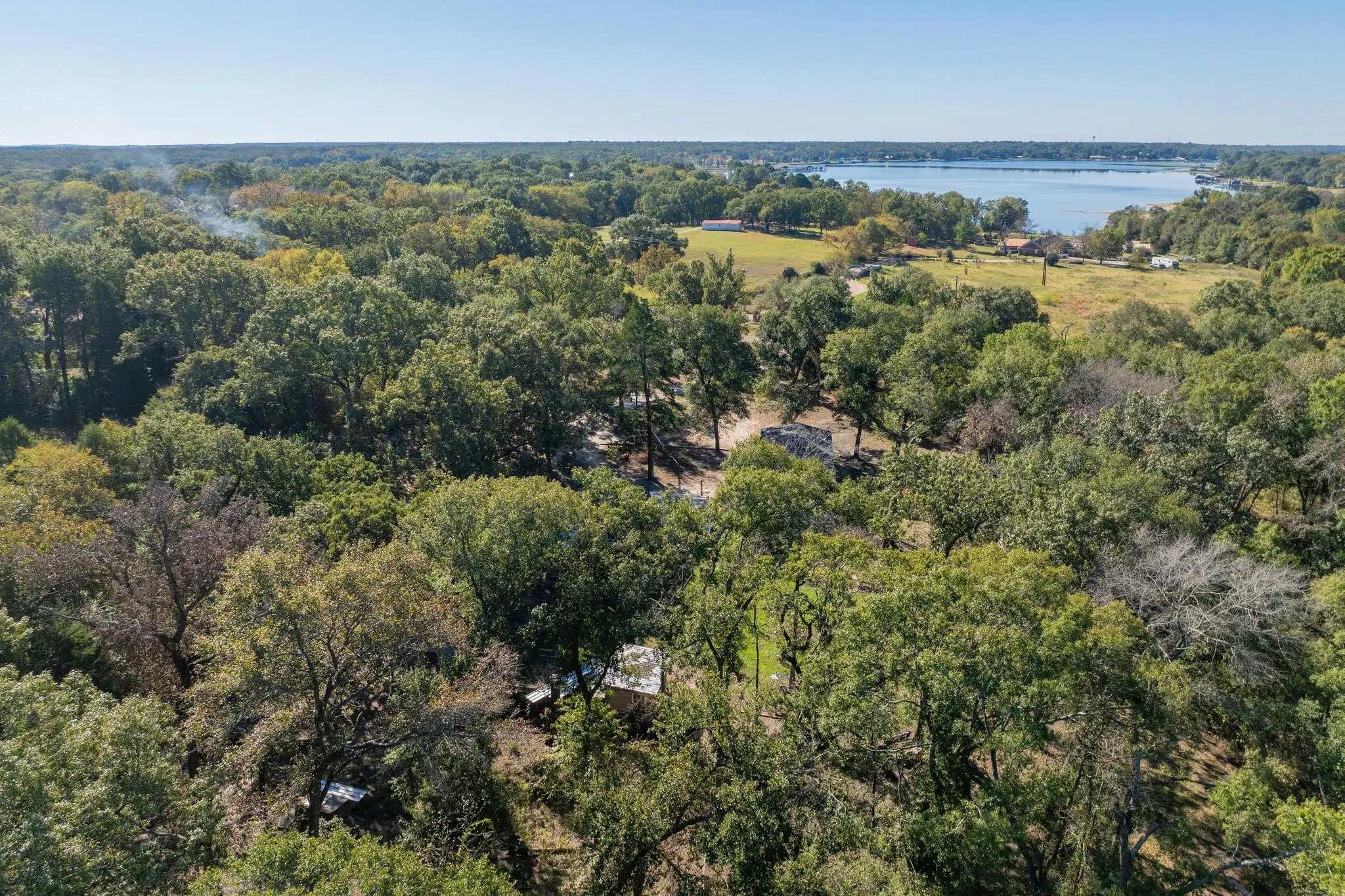 Aerial view of a forest and a nearby body of water