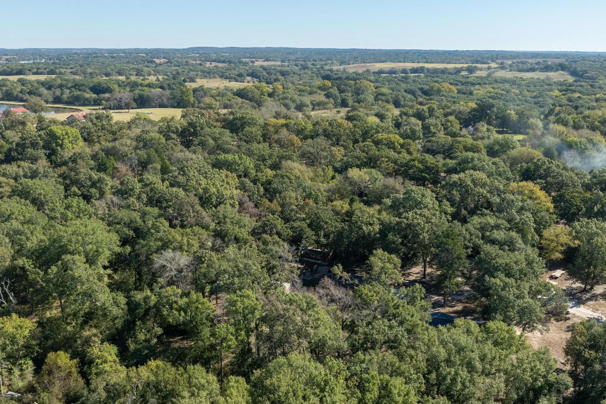 Drone / aerial view of a forest