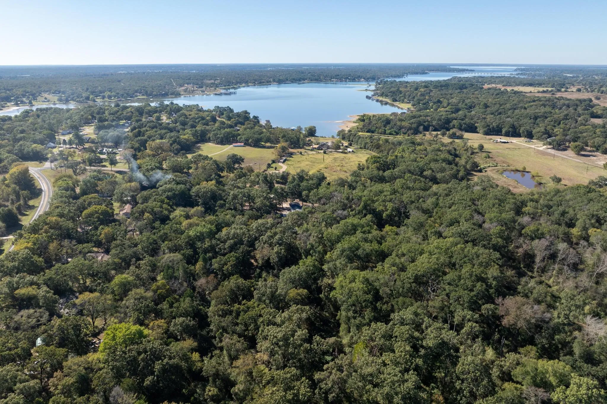 Drone / aerial view of a forest and a nearby body of water