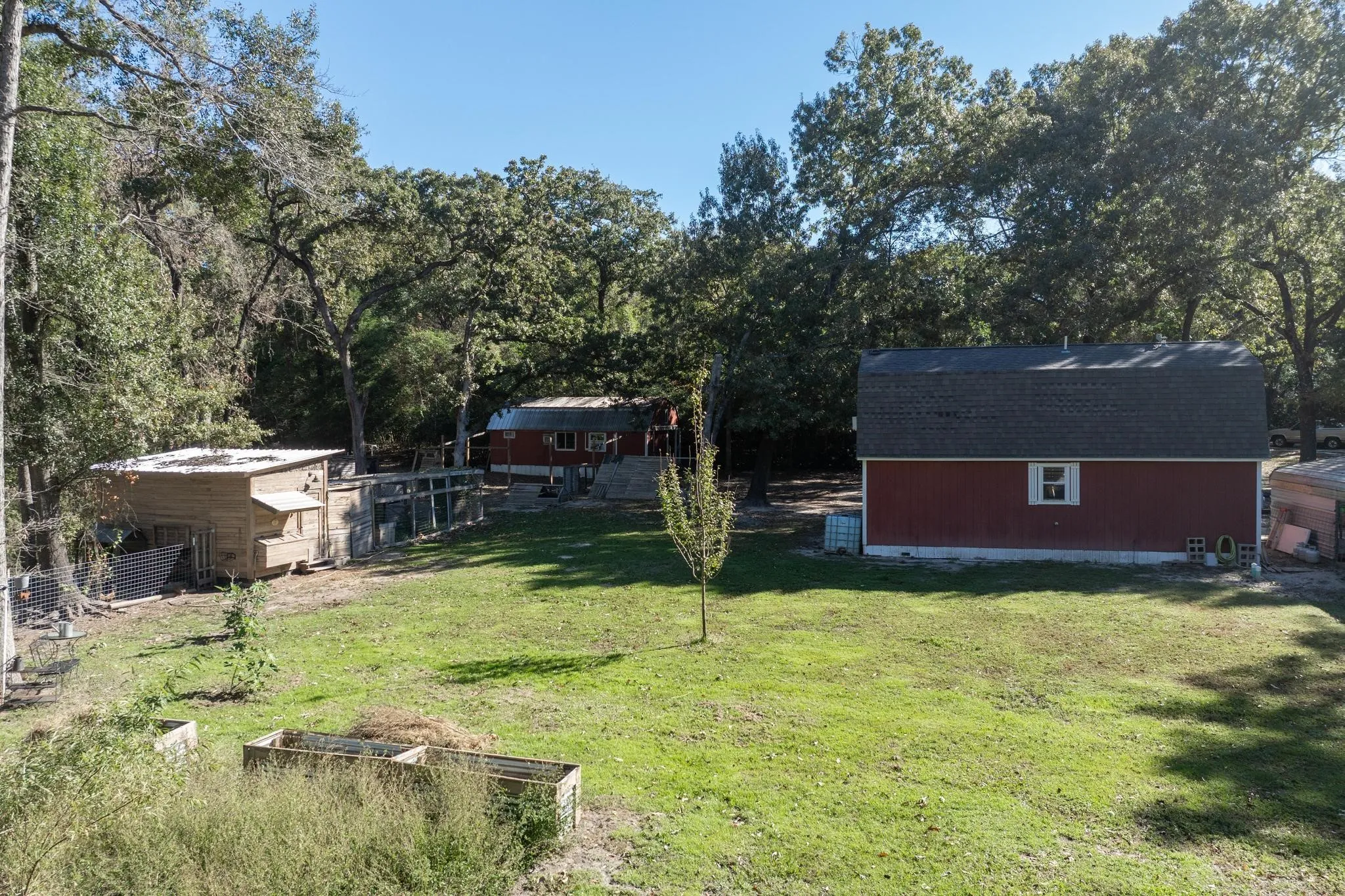 View of green lawn with a shed and a vegetable garden