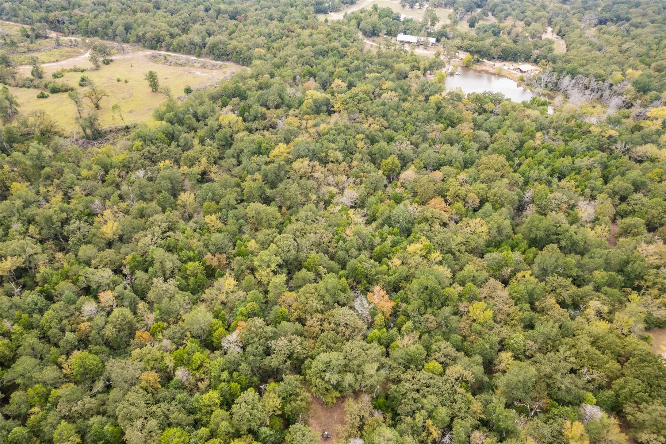 Improved Land For Sale in Freestone County , 132 Private Road 507, Fairfield, Texas 75840, 0, 0, Garage spaces, 0 Sqft, built in 0, Price $195,000, mls#21101857, Real Estate Agent in Fairfield, Homes For Sale in Freestone county, Homes For Sale in Fairfield, Realtor in Fairfield Texas, Real Estate Brokerage Independent Realty Texas, Luminita Cordes Realtor