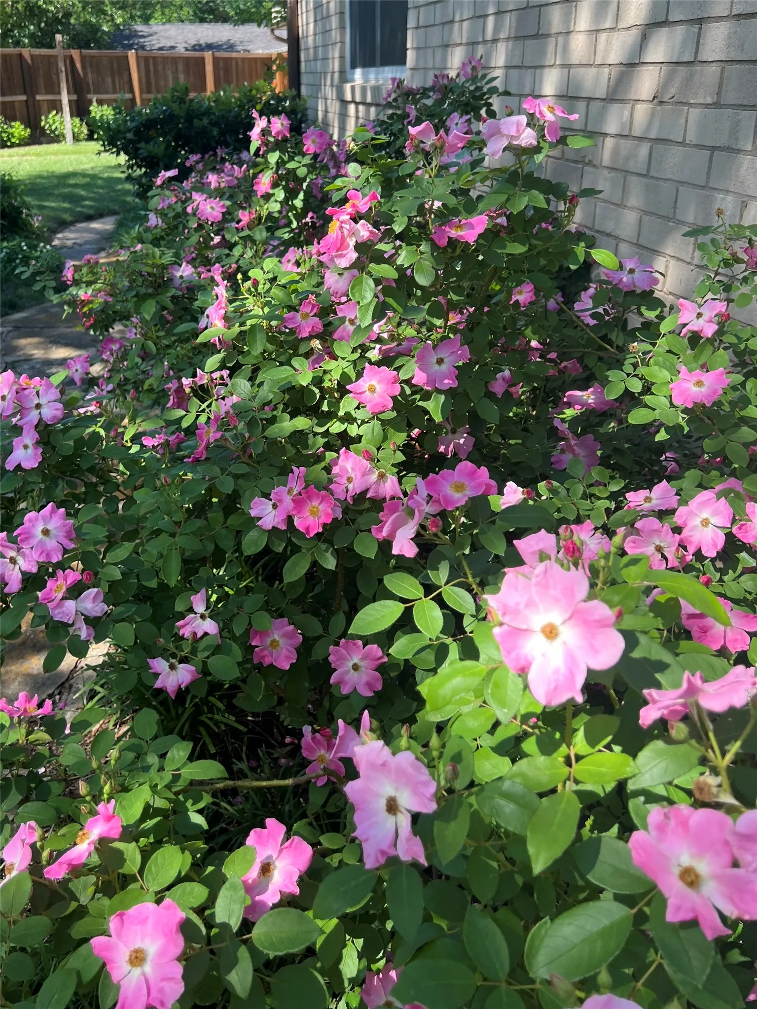 The backyard is bright and colorful throughout the growing season.