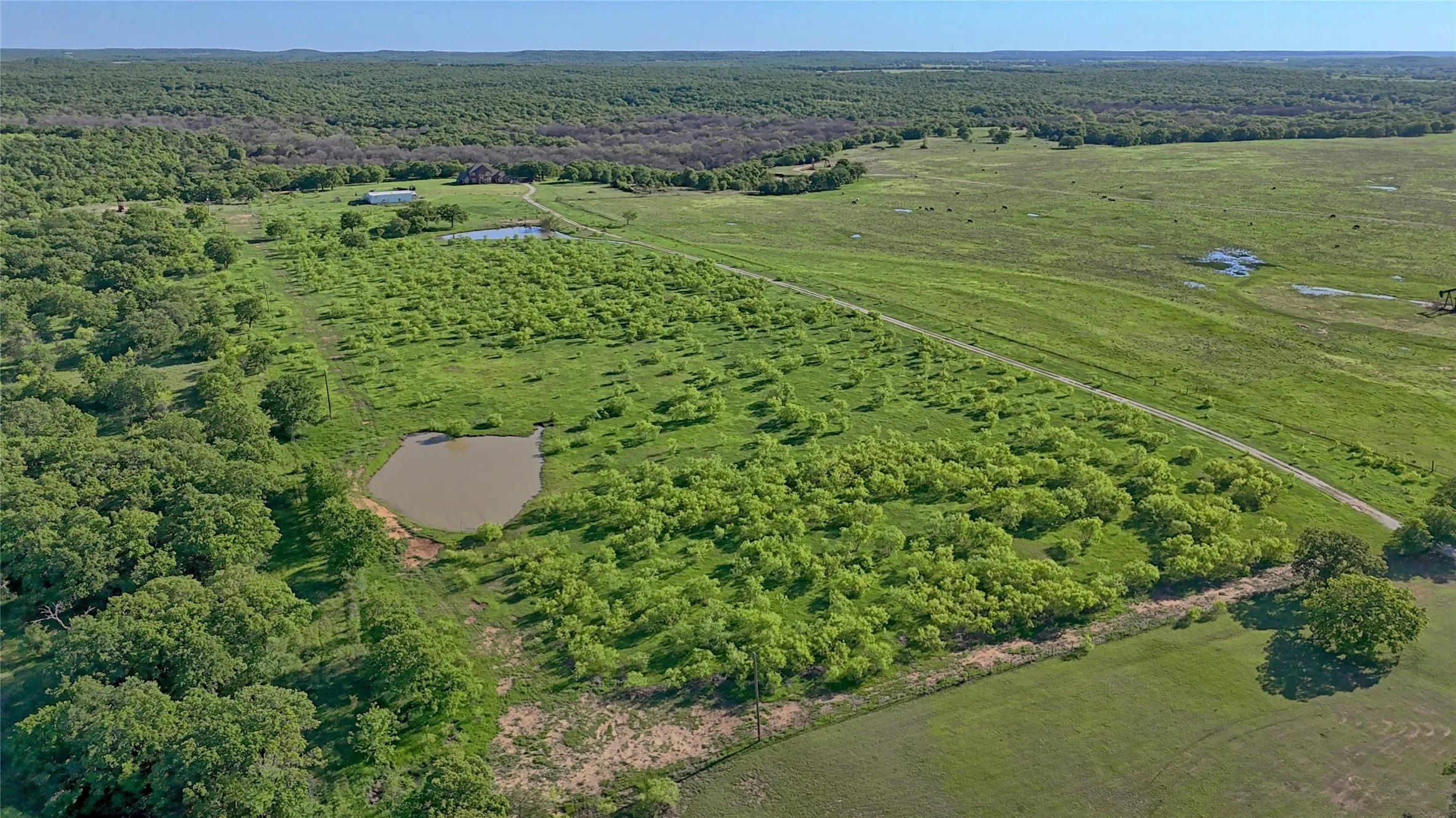 Single Family Residence For Sale in Montague County , 8791 State Hwy 59 S, Bowie, Texas 76230, 3 Bedroom, 3 Bathroom, 3 Garage spaces, 3,079 Sqft, built in 2000, mls#21102560, Real Estate Agent in Bowie, Homes For Sale in Montague county, Homes For Sale in Bowie, Realtor in Bowie Texas, Real Estate Brokerage Independent Realty Texas, Luminita Cordes Realtor