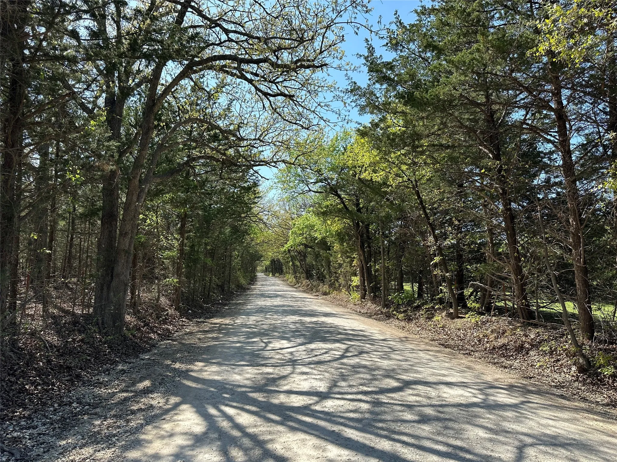 View of street with a view of trees