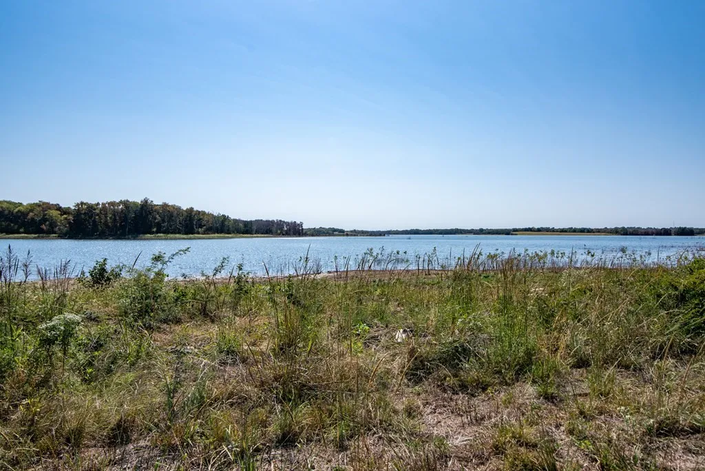 Improved Land For Sale in Fannin County , 371 Lakewood Lane, Honey Grove, Texas 75446, 0, 0, Garage spaces, 0 Sqft, built in 0, Price $485,000, mls#21102799, Real Estate Agent in Honey Grove, Homes For Sale in Fannin county, Homes For Sale in Honey Grove, Realtor in Honey Grove Texas, Real Estate Brokerage Independent Realty Texas, Luminita Cordes Realtor