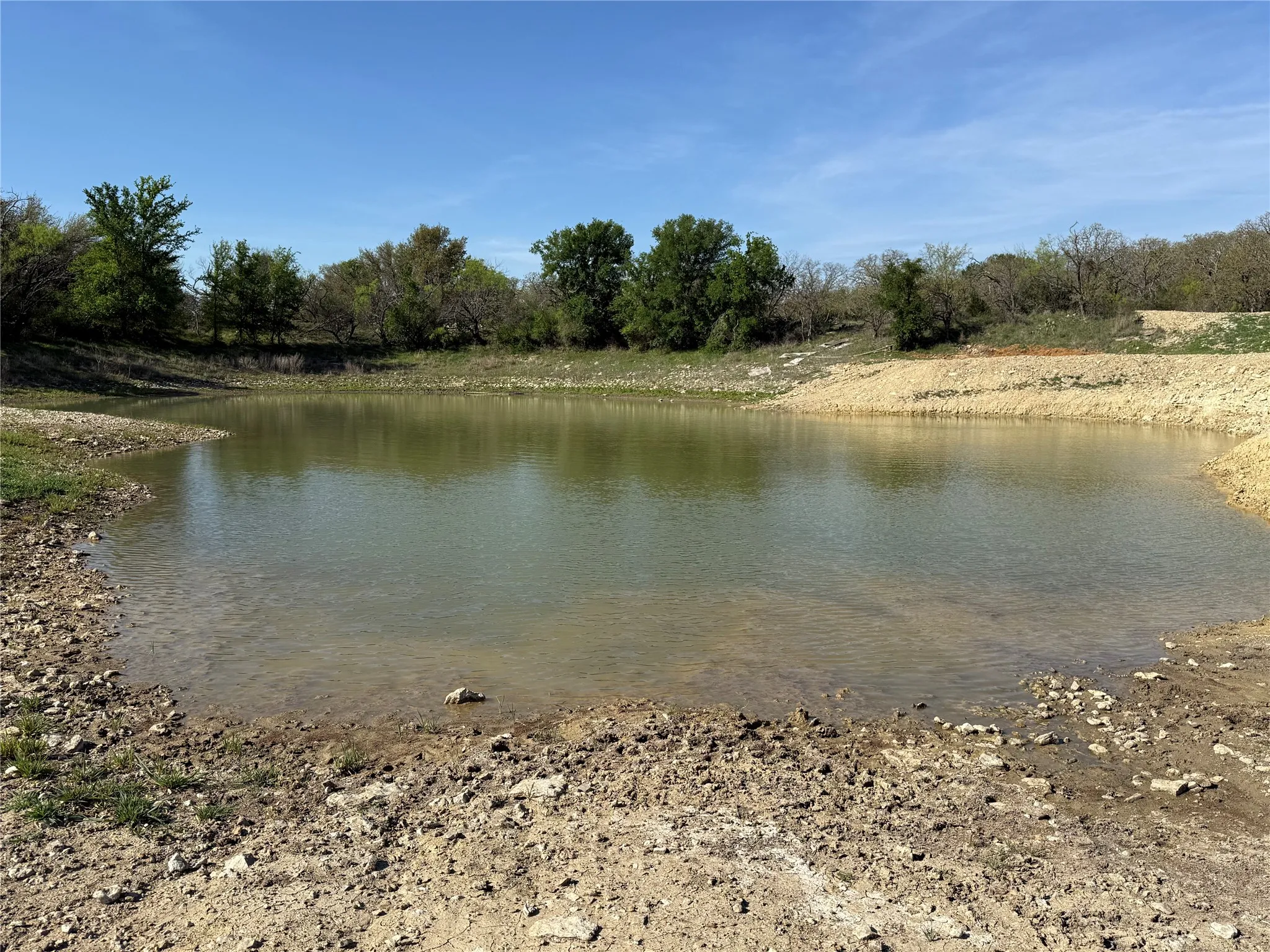 Natural pond with a surrounding earthen bank and mature tree line