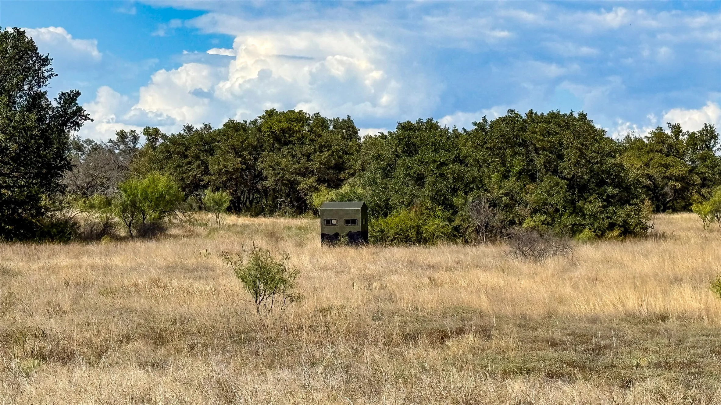 View of local wilderness featuring rural landscape
