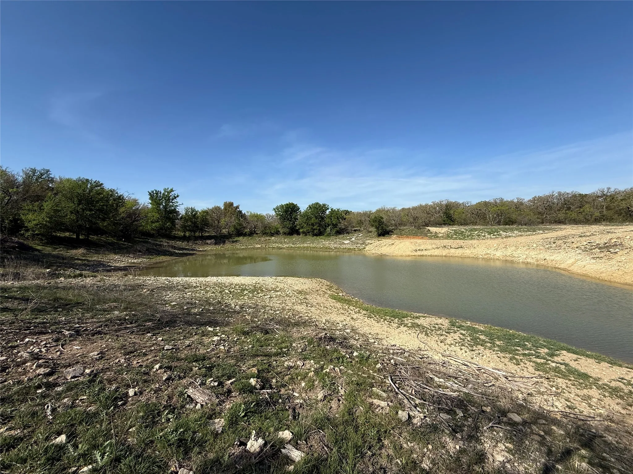 Natural pond feature surrounded by varied terrain and mature trees