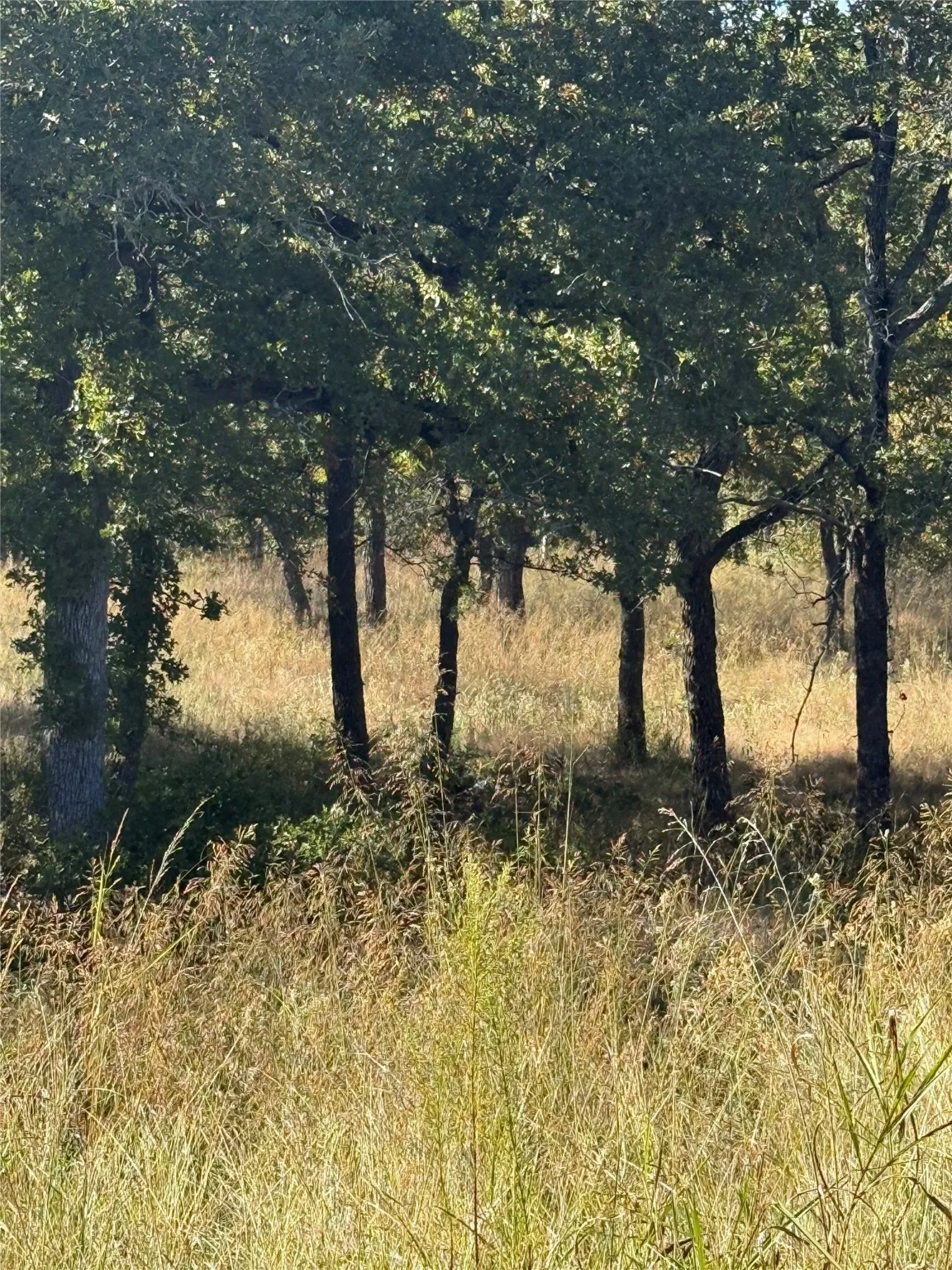 Unimproved Land For Sale in Wise County , 416 Sunset Bay Pointe Court, Chico, Texas 76431, 0, 0, Garage spaces, 0 Sqft, built in 0, Price $135,000, mls#21102972, Real Estate Agent in Chico, Homes For Sale in Wise county, Homes For Sale in Chico, Realtor in Chico Texas, Real Estate Brokerage Independent Realty Texas, Luminita Cordes Realtor
