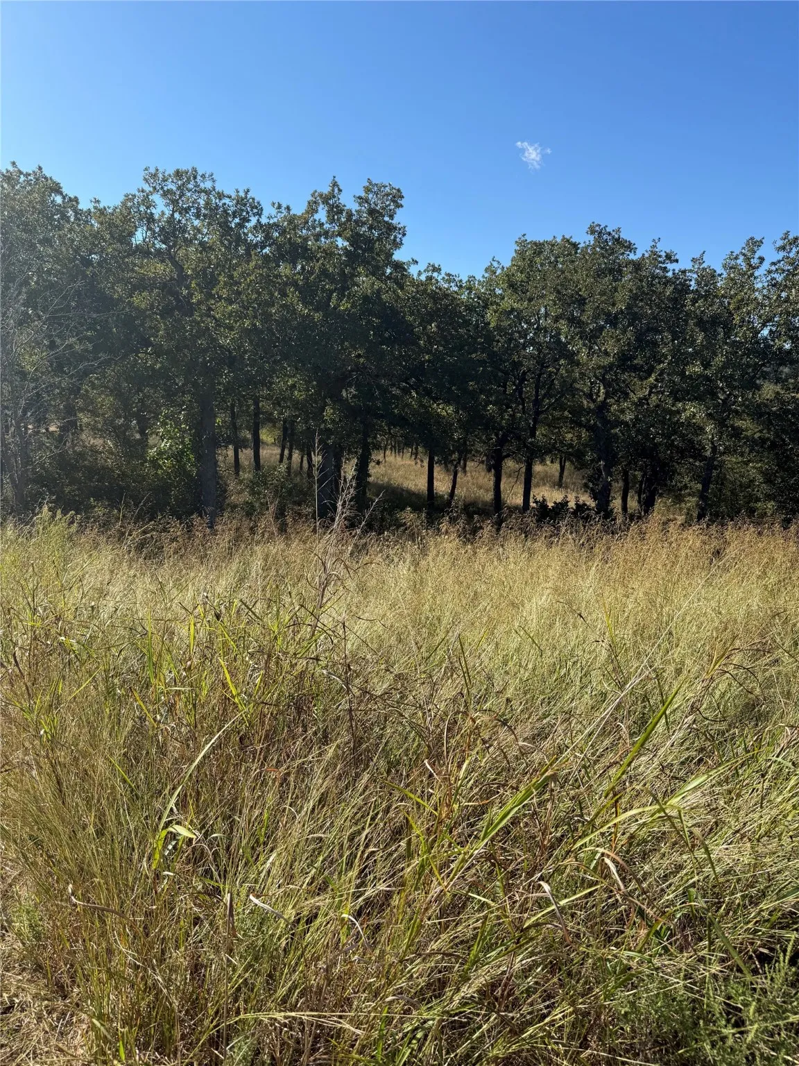 Unimproved Land For Sale in Wise County , 416 Sunset Bay Pointe Court, Chico, Texas 76431, 0, 0, Garage spaces, 0 Sqft, built in 0, Price $135,000, mls#21102972, Real Estate Agent in Chico, Homes For Sale in Wise county, Homes For Sale in Chico, Realtor in Chico Texas, Real Estate Brokerage Independent Realty Texas, Luminita Cordes Realtor