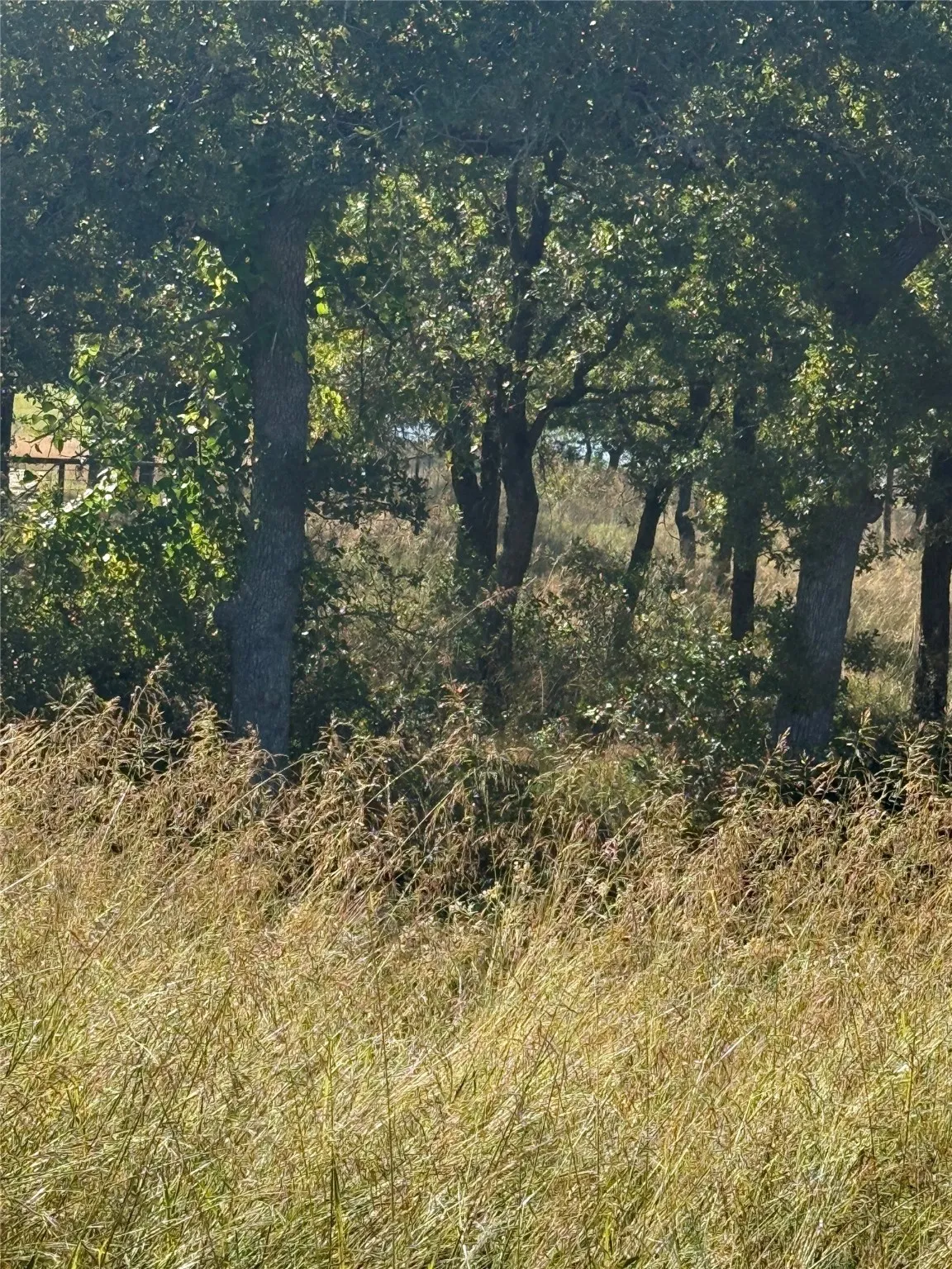 Unimproved Land For Sale in Wise County , 416 Sunset Bay Pointe Court, Chico, Texas 76431, 0, 0, Garage spaces, 0 Sqft, built in 0, Price $135,000, mls#21102972, Real Estate Agent in Chico, Homes For Sale in Wise county, Homes For Sale in Chico, Realtor in Chico Texas, Real Estate Brokerage Independent Realty Texas, Luminita Cordes Realtor