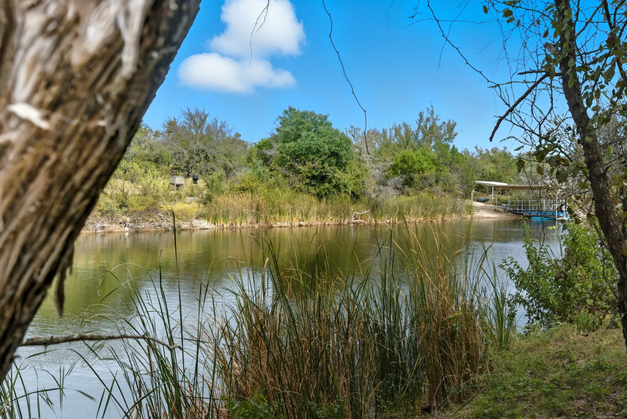Water view featuring a​​‌​​​​‌​​‌‌​‌‌​​​‌‌​‌​‌​‌​​​‌​​ forest