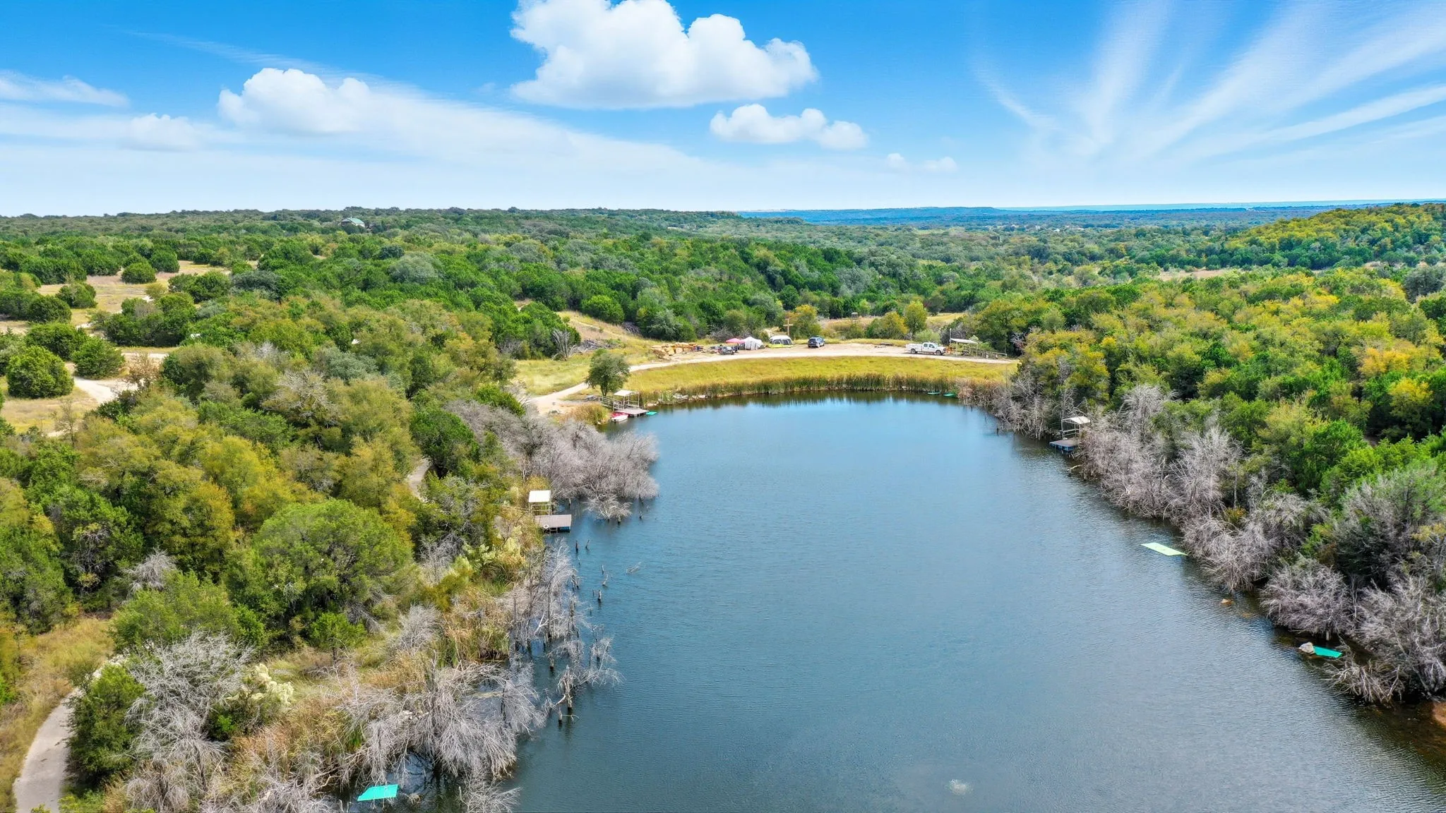 Bird's eye view of a forest and a nearby body of water