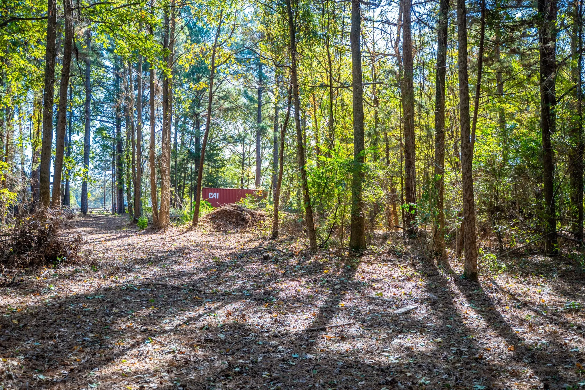 View of wooded area