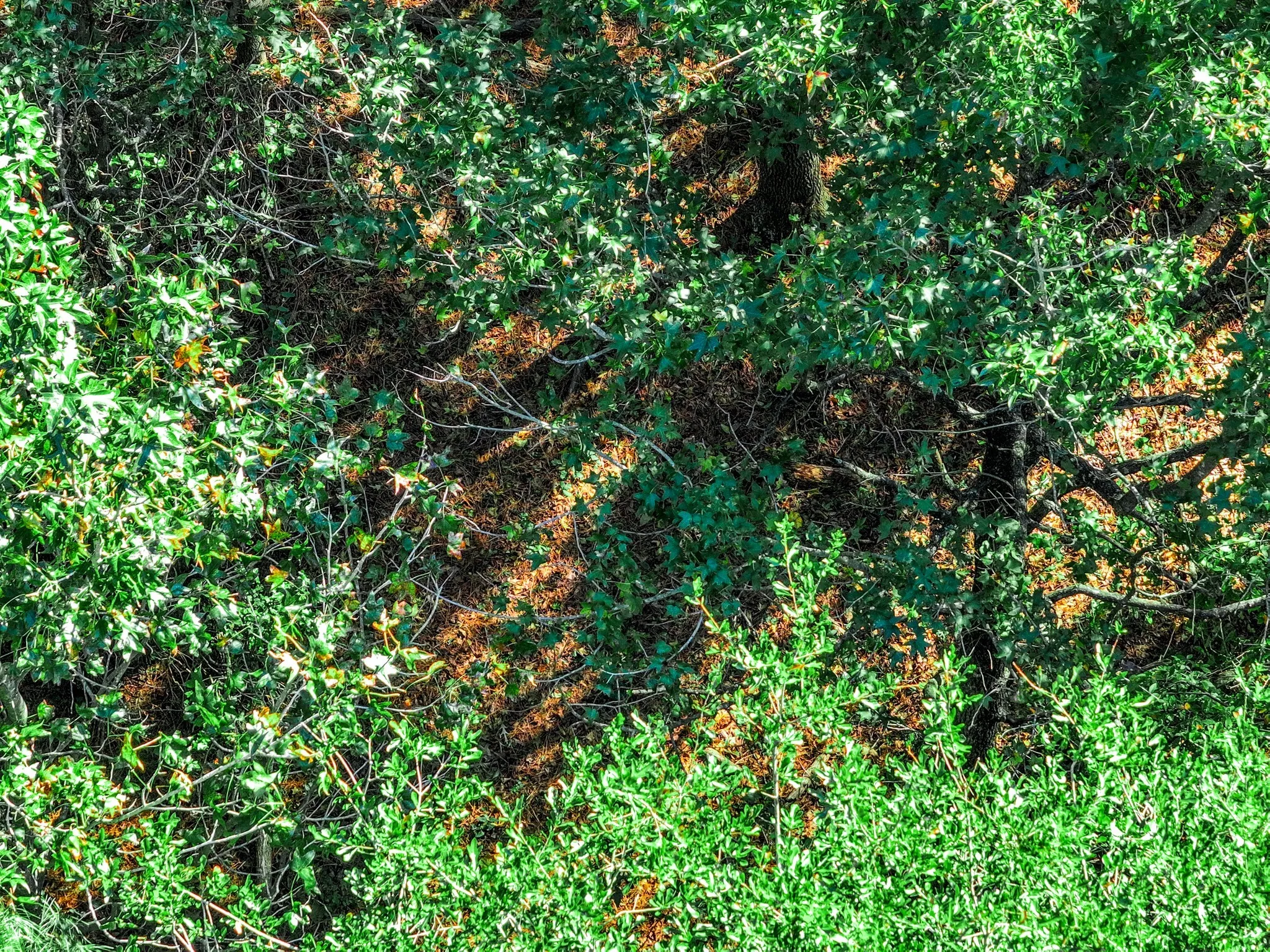 View of undeveloped land
