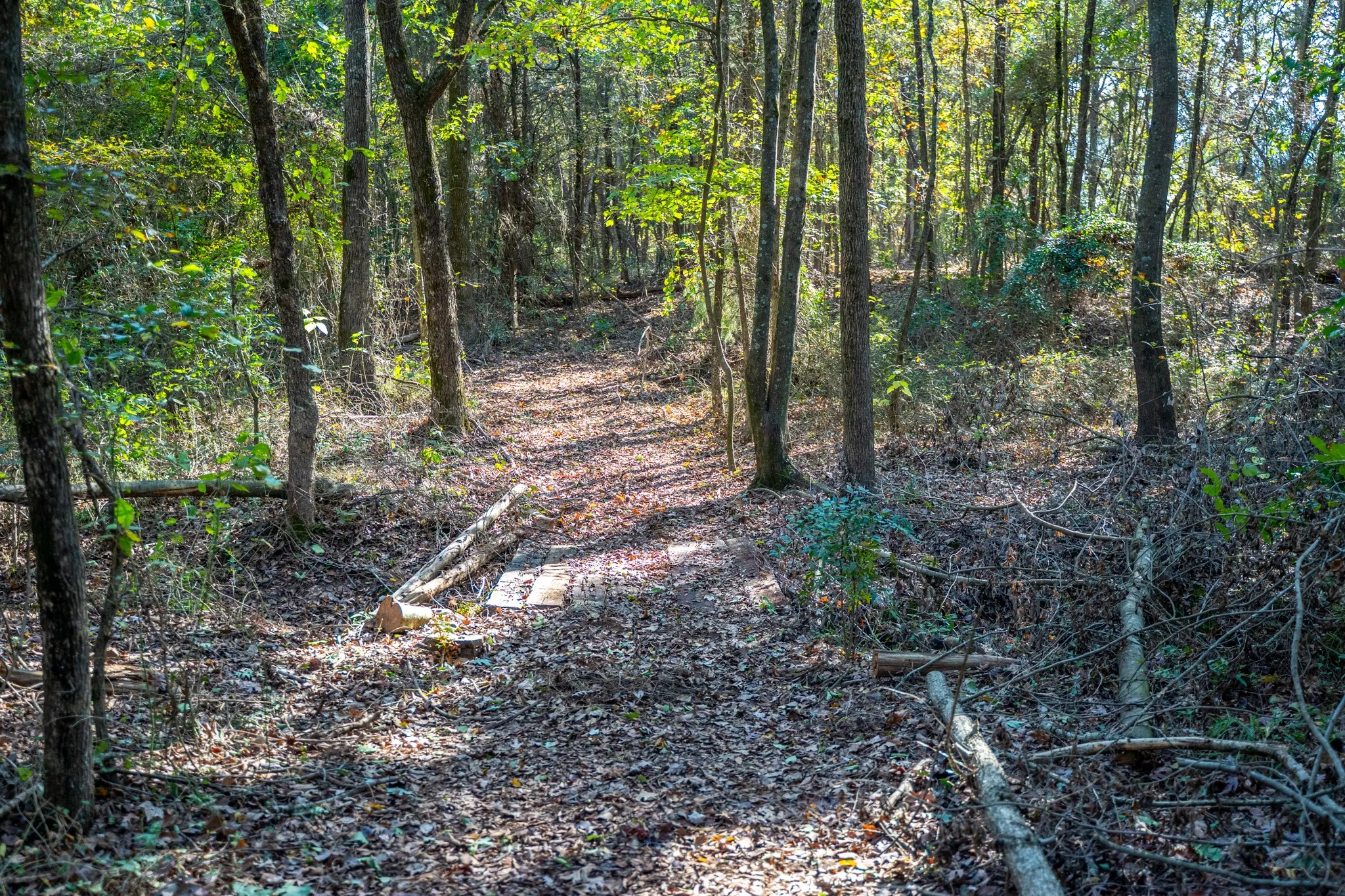 View of undeveloped land