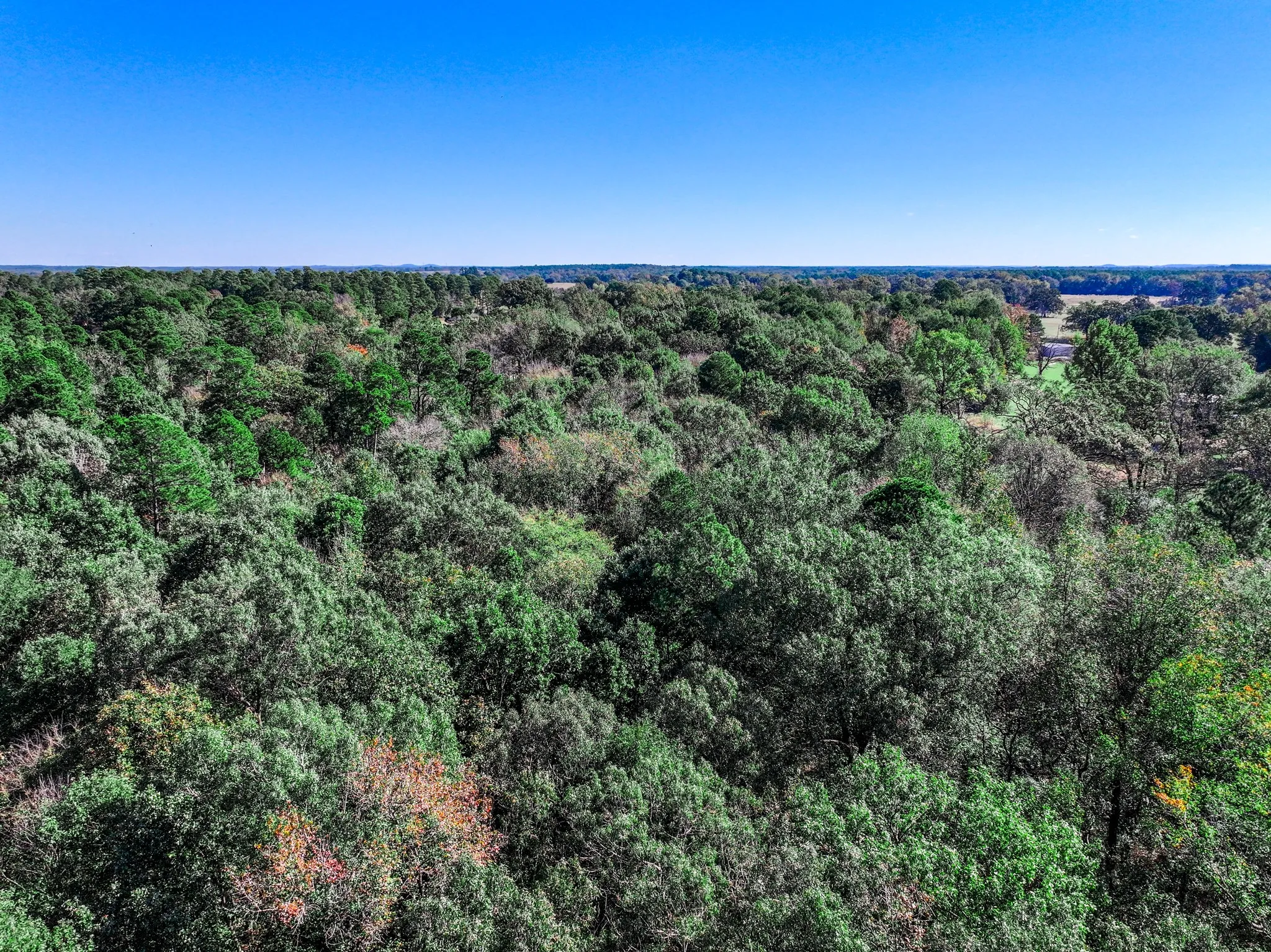 Bird's eye view of a heavily wooded area